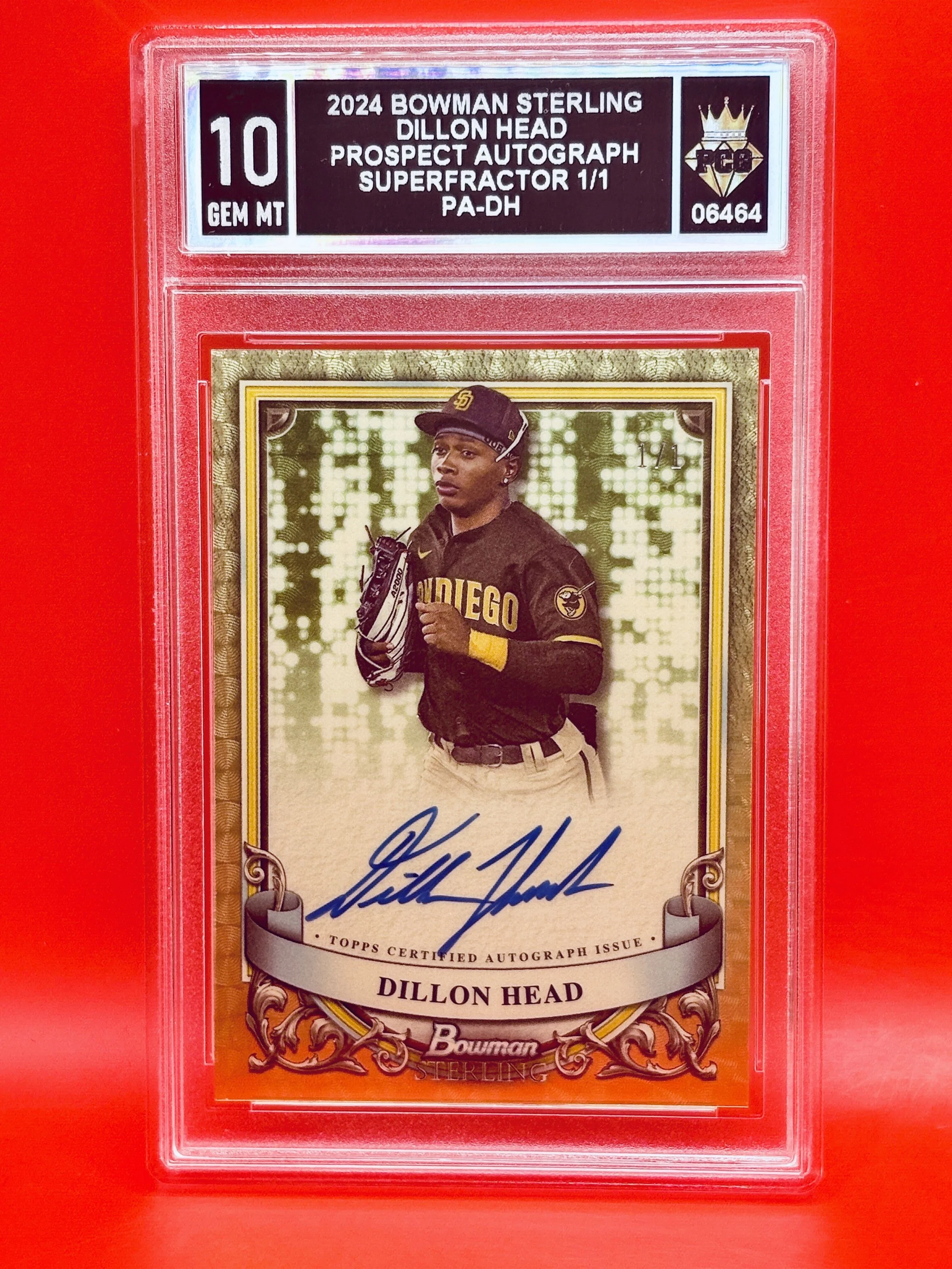 #06464 2024 DILLON HEAD 10 GEM MT