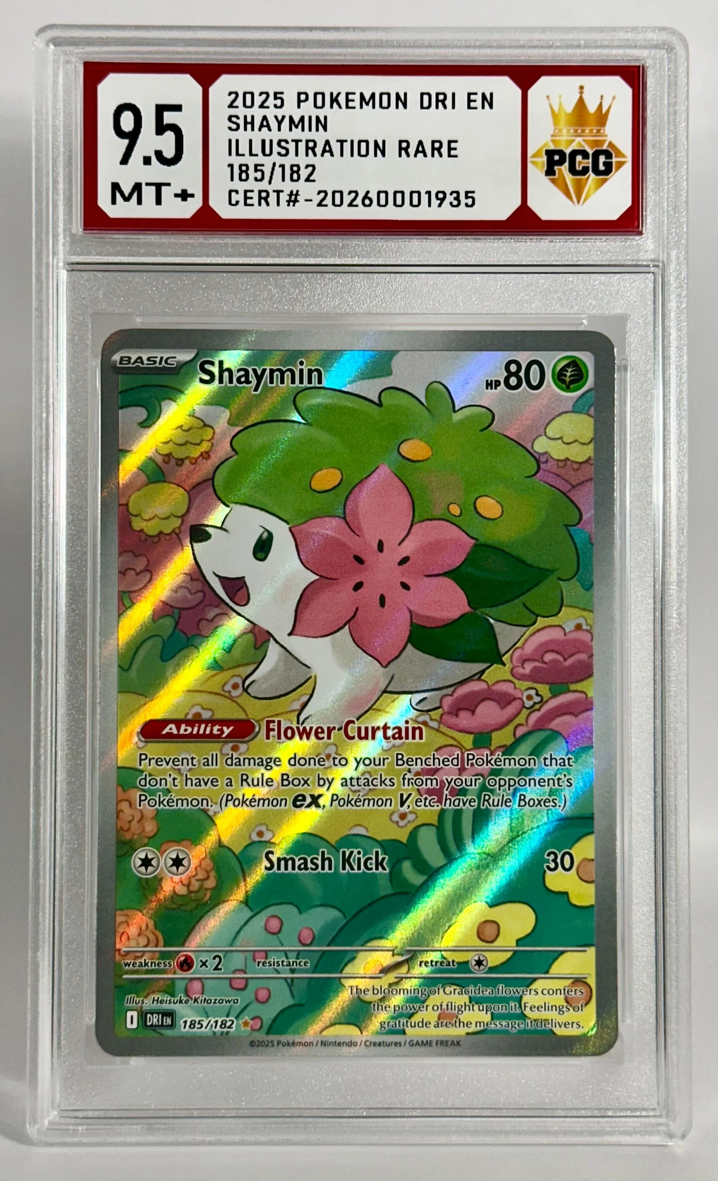 #20260001935 2025 SHAYMIN 9.5 MT+