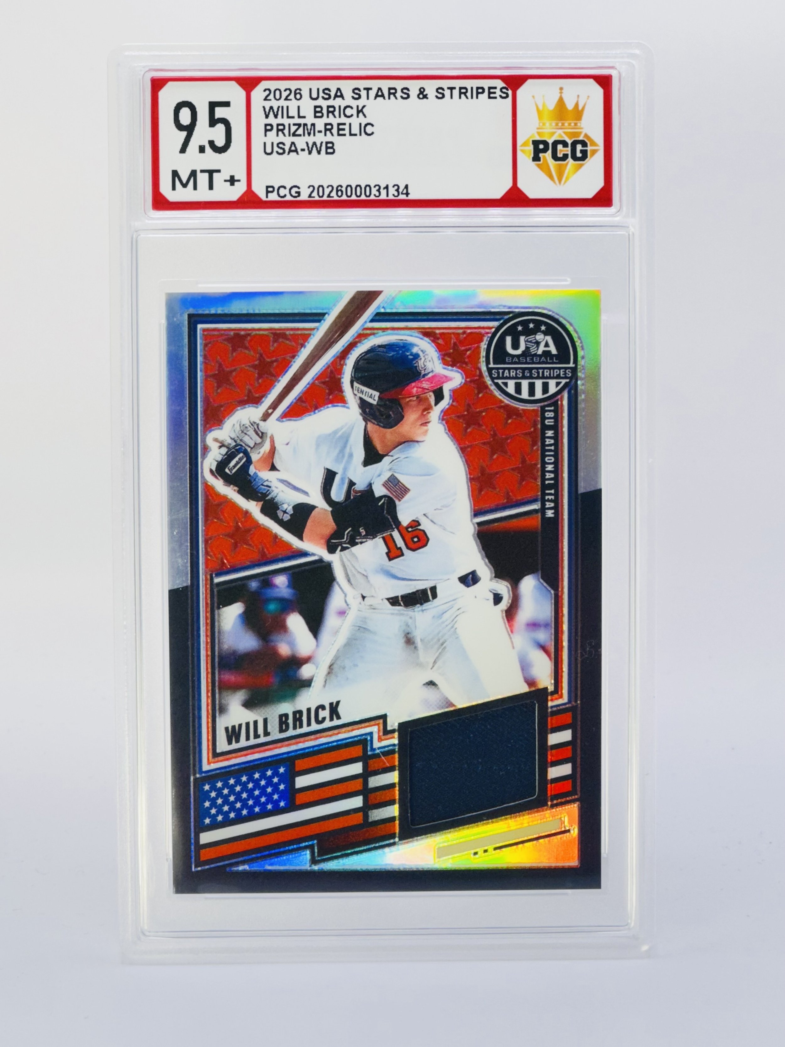 #20260003134 2026 WILL BRICK 9.5 MT+