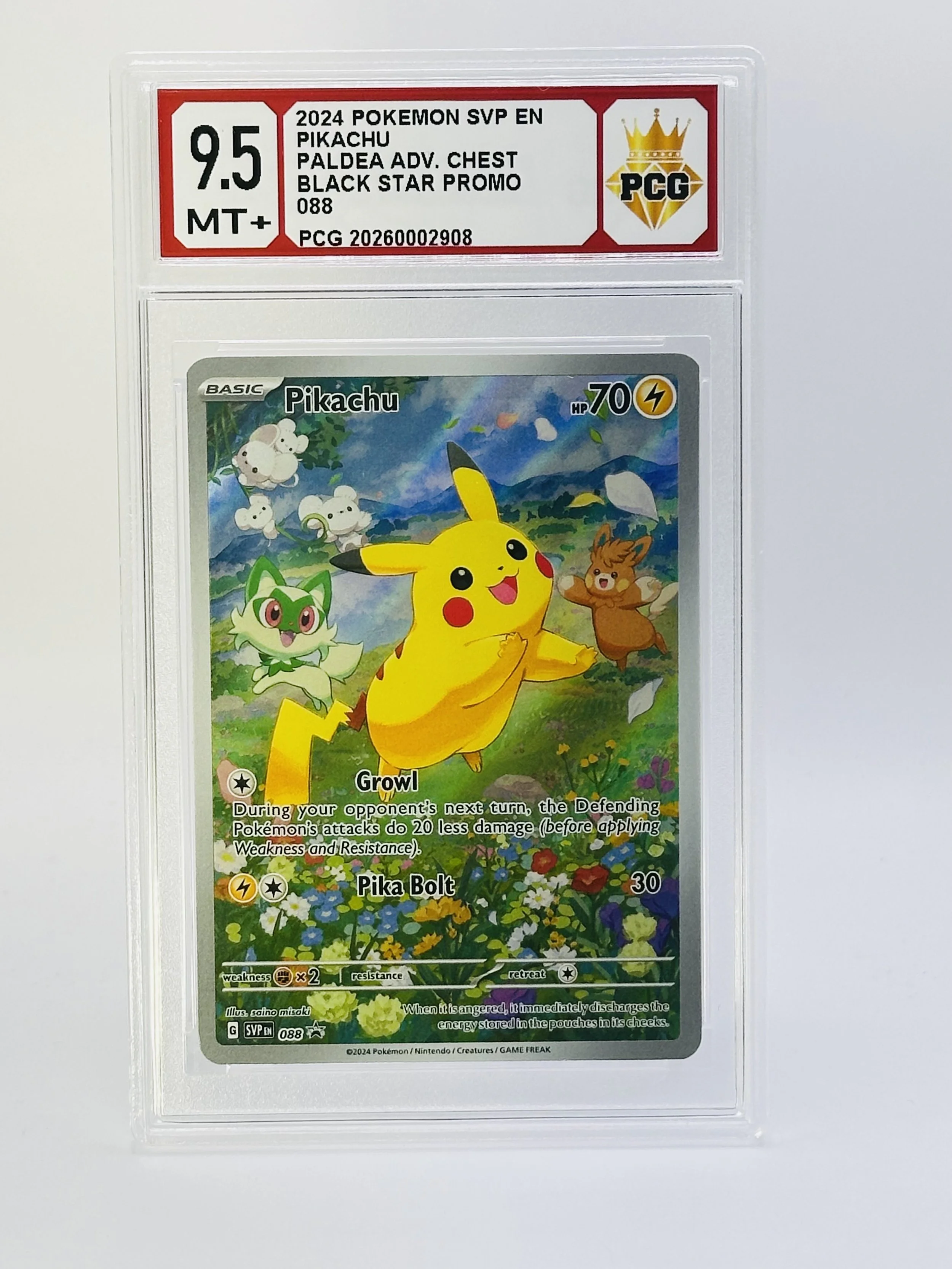 #20260002908 2024 PIKACHU 9.5 MT+