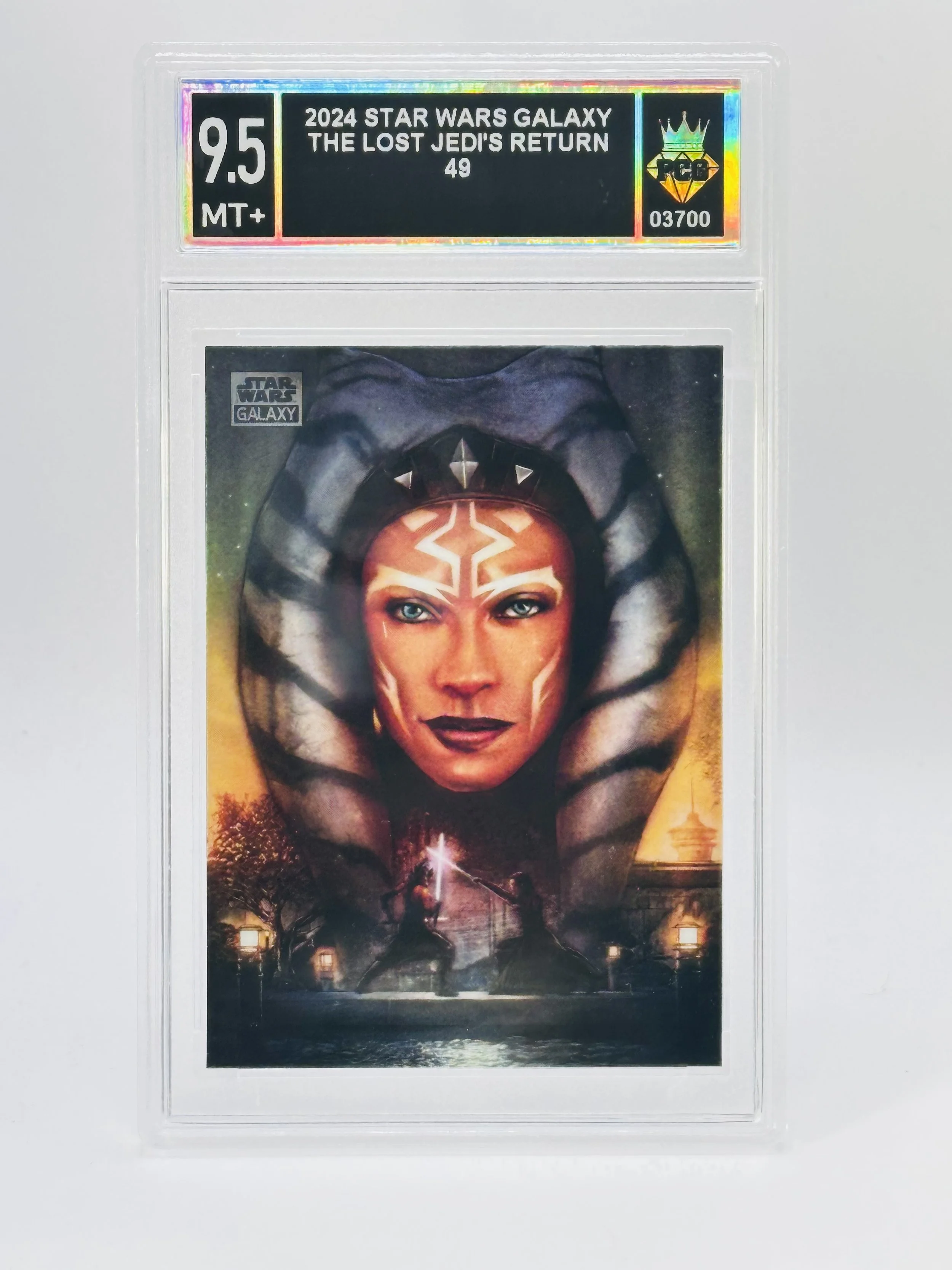 #20260003700 2024 THE LOST JEDI'S RETURN 9.5 MT+