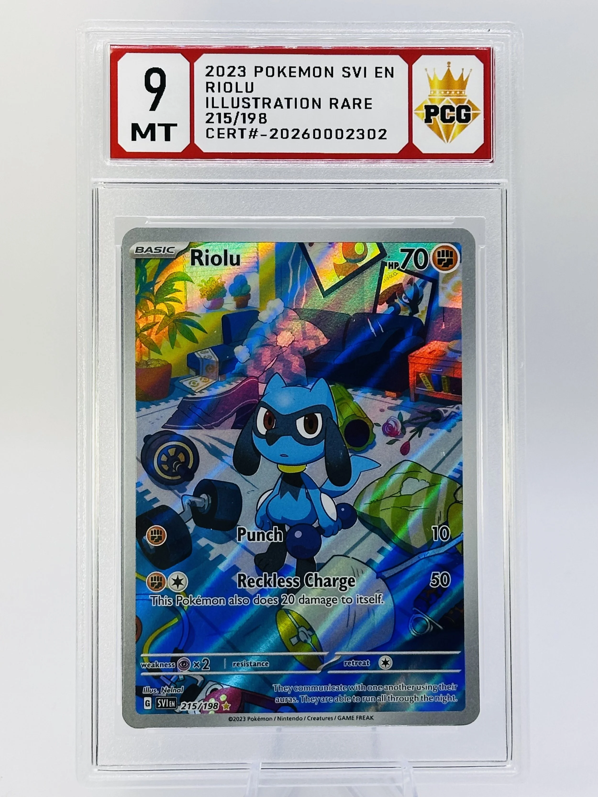 #20260002302 2023 RIOLU 9 MT