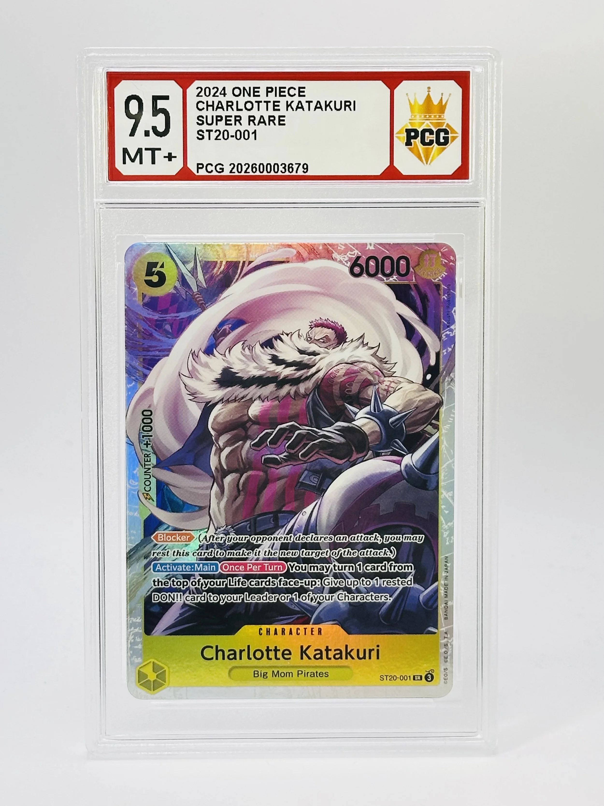 #20260003679 2024 CHARLOTTE KATAKURI 9.5 MT+