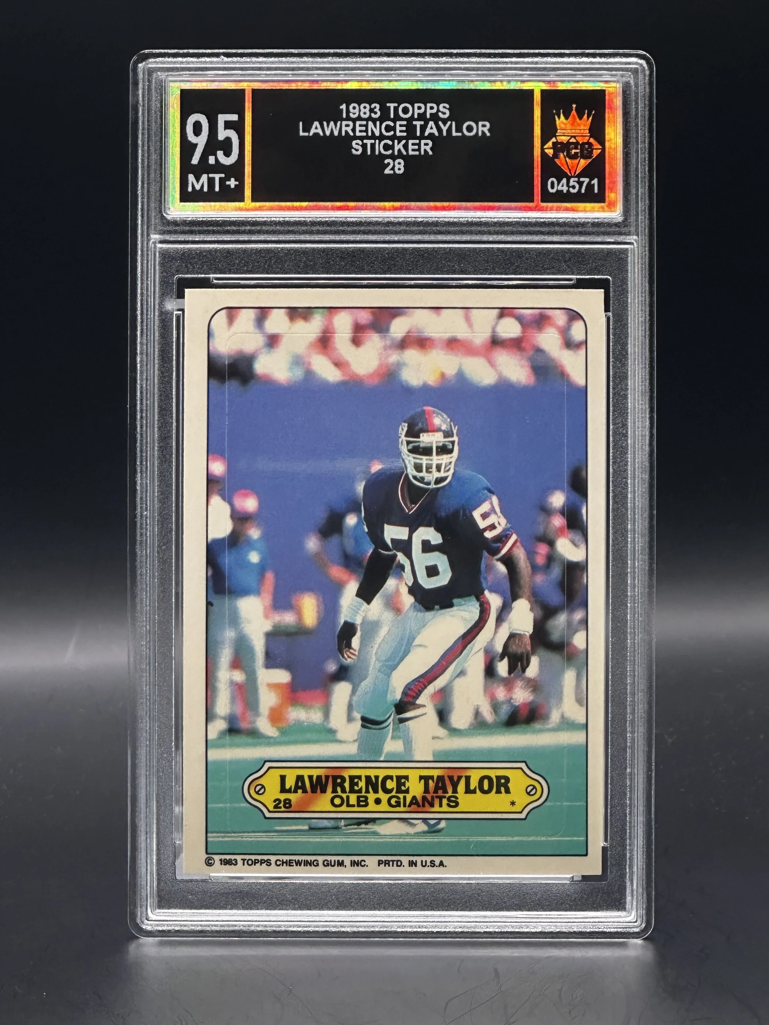 #04571 1983 LAWRENCE TAYLOR 9.5 MT+