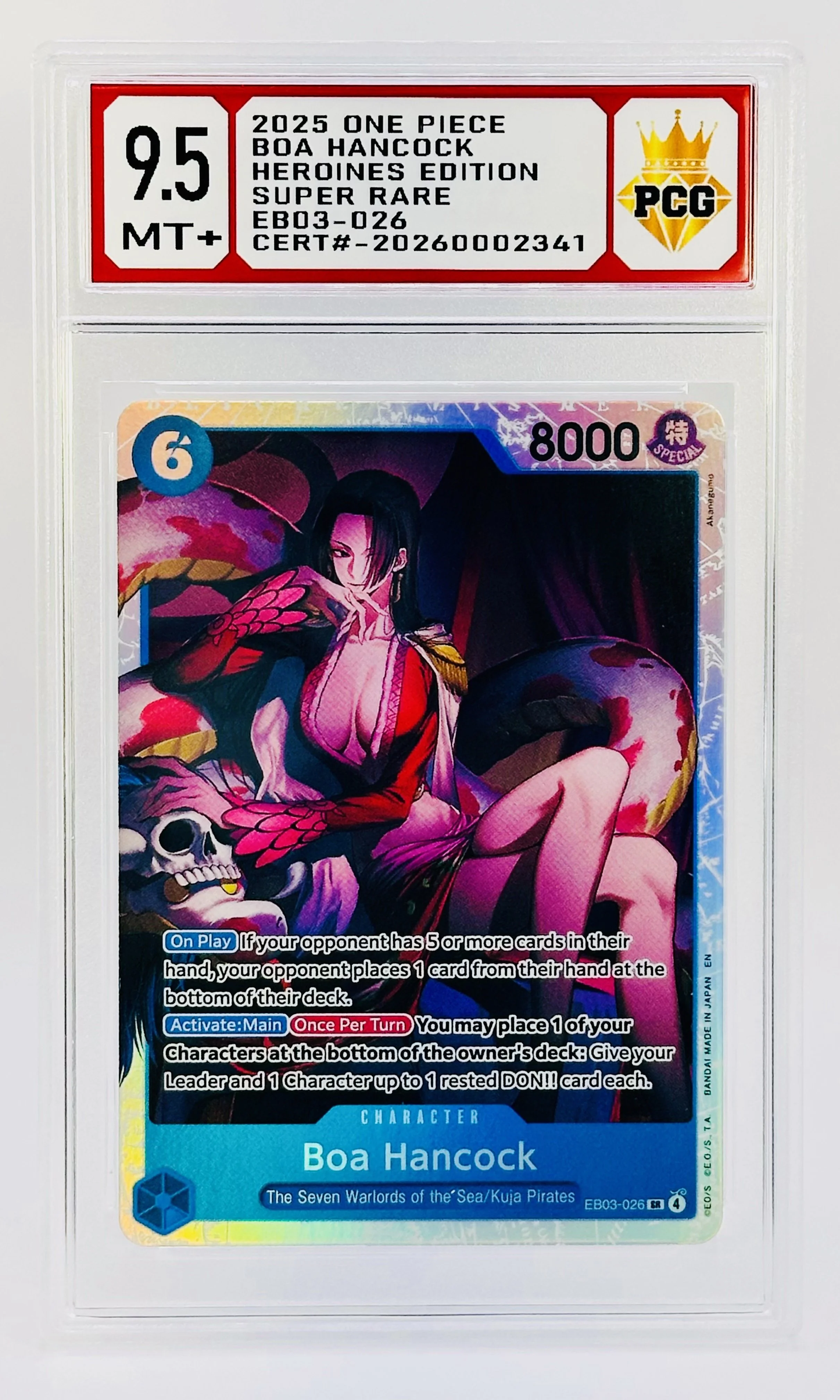 #20260002341 2025 BOA HANCOCK 9.5 MT+