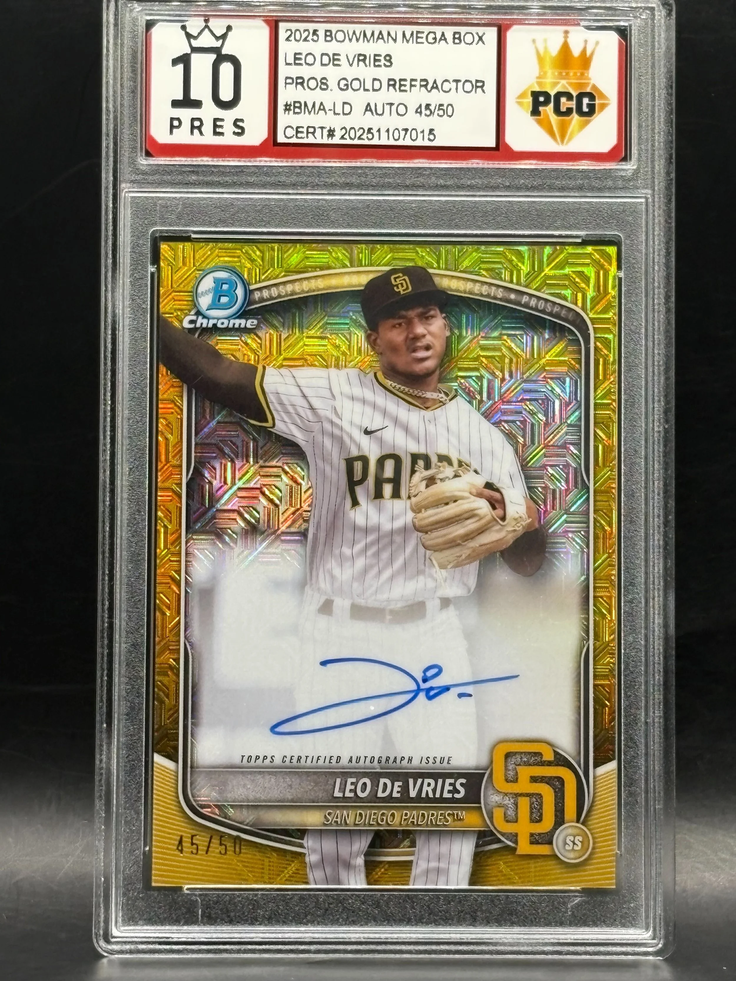 #20251107015 Leo De Vries Auto 10 Prestigious