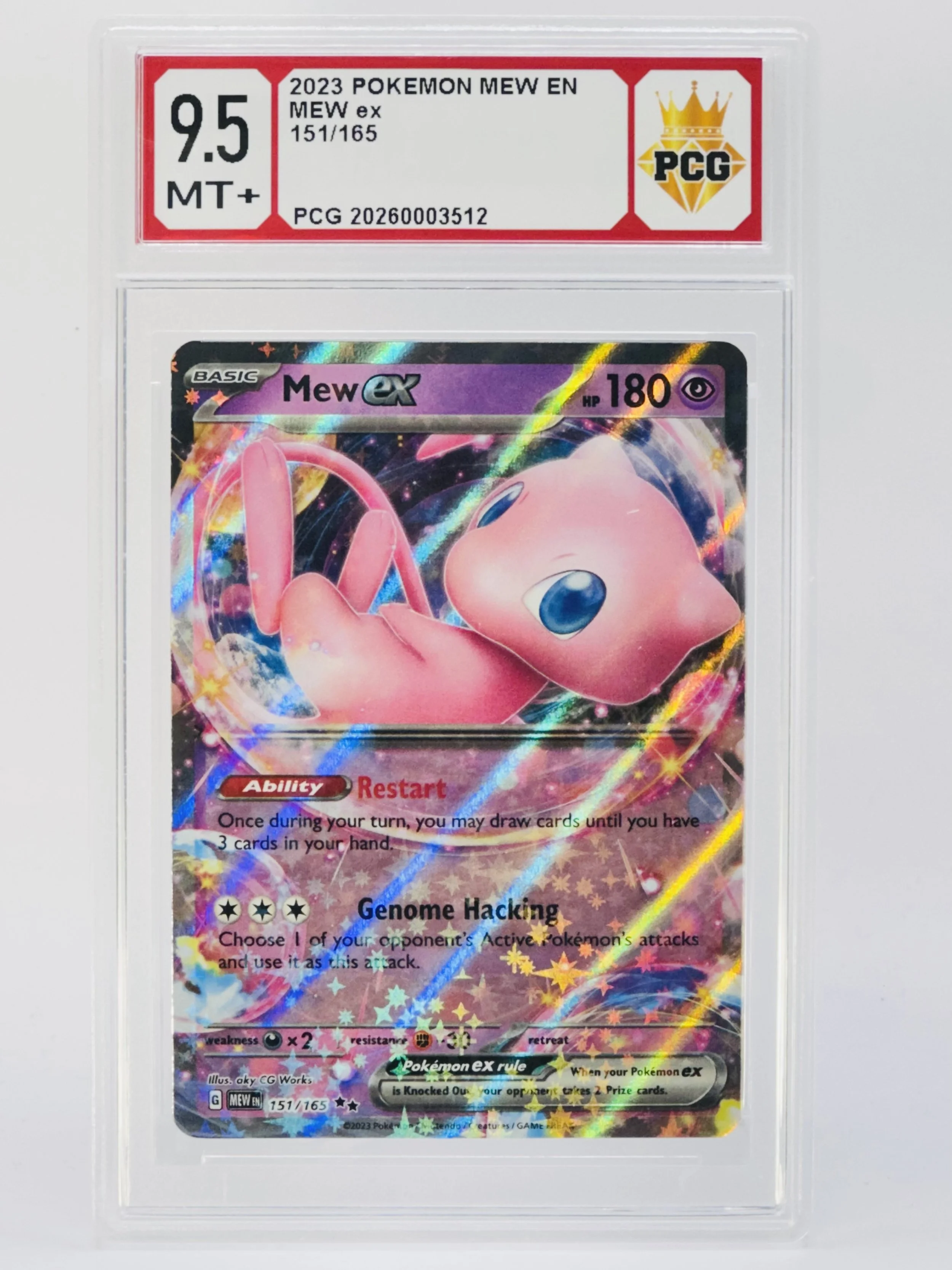 #20260003512 2023 MEW EX 9.5 MT+