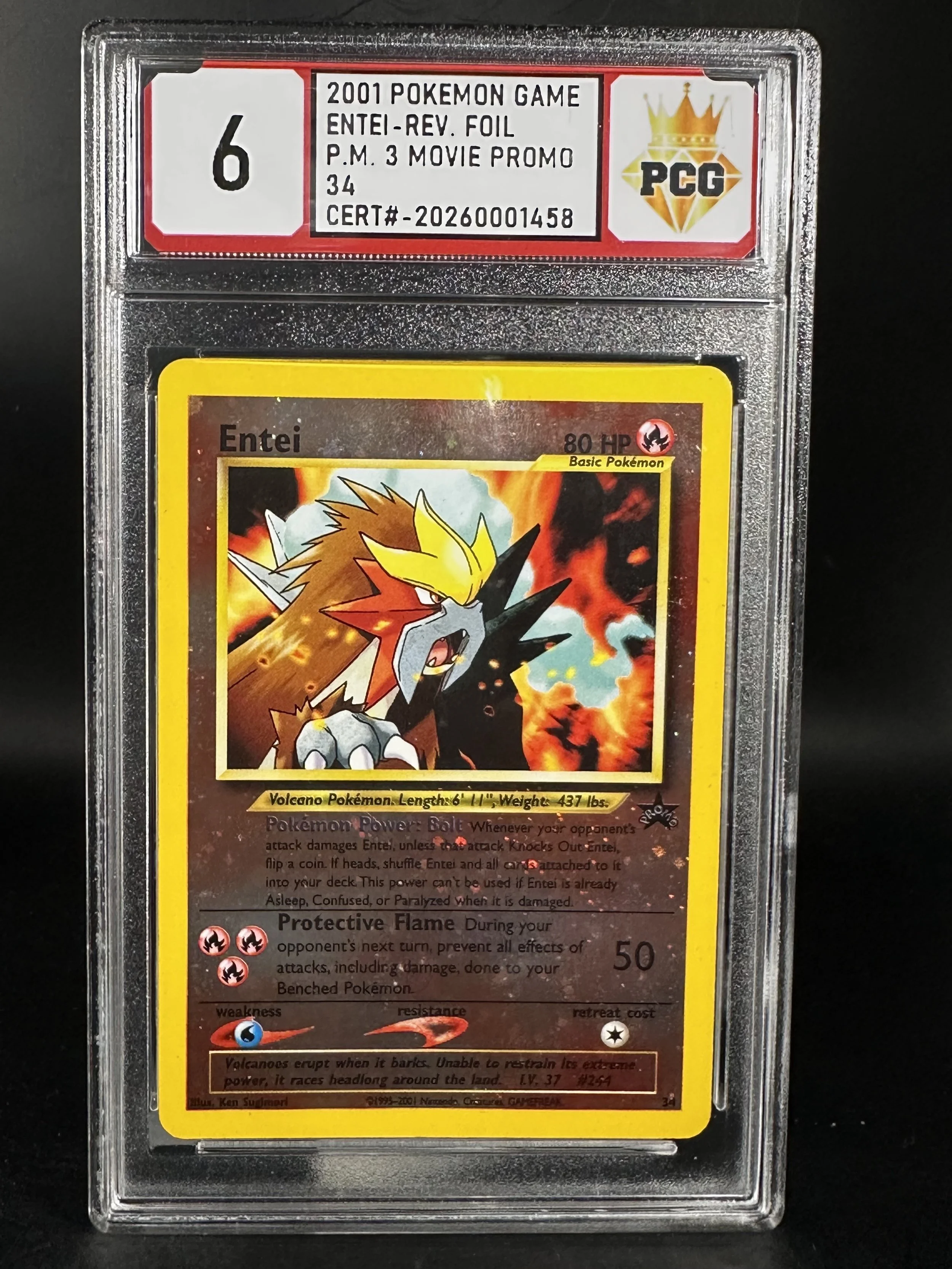 #20260001458 2001  ENTEI-REV  6