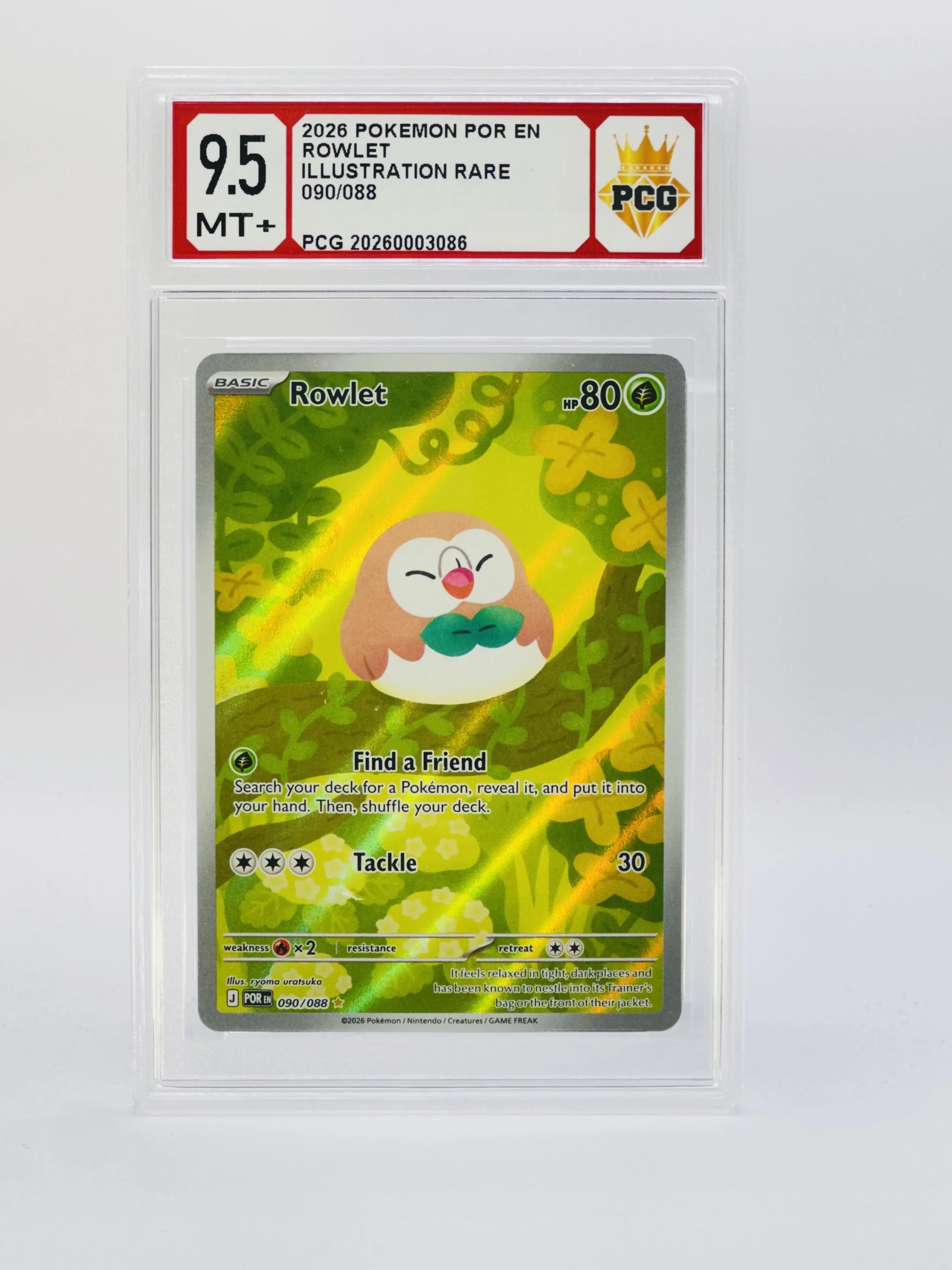 #20260003086 2026 ROWLET 9.5 MT+