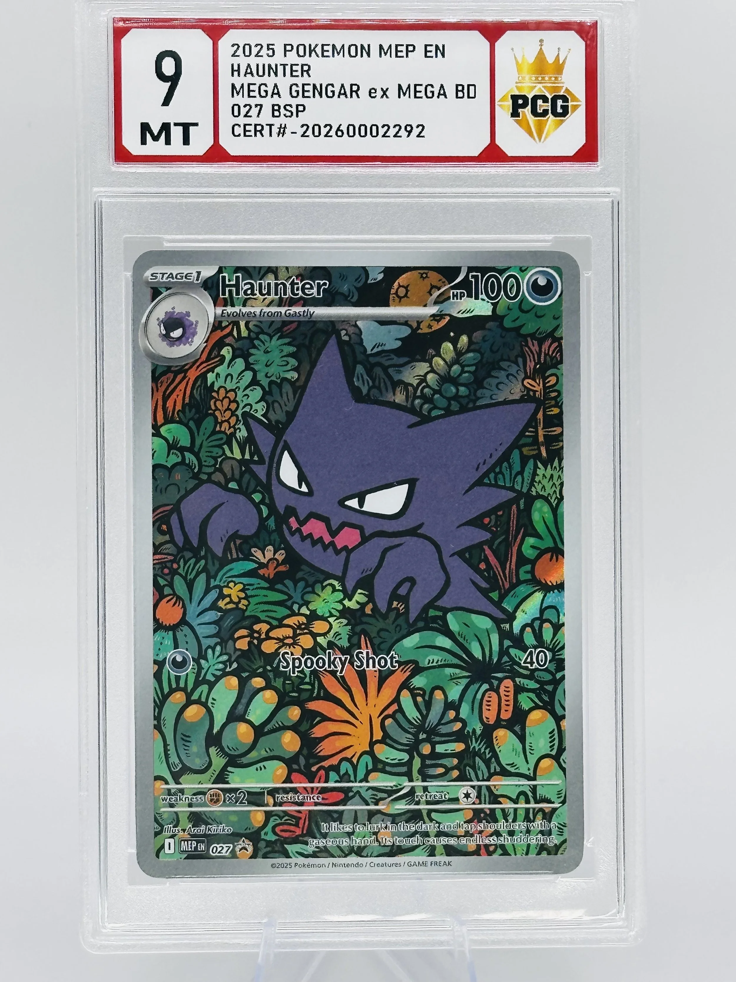 #20260002292 2025 HAUNTER 9 MT