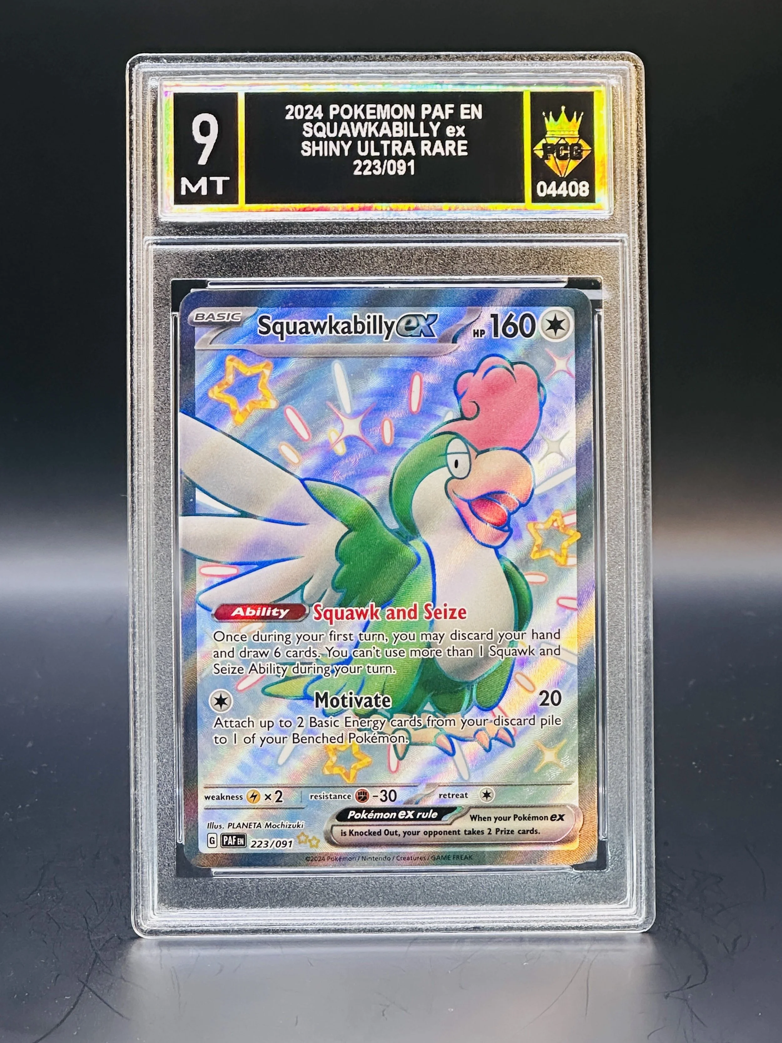 #04408 2024 SQUAKABILLY EX 9 MT