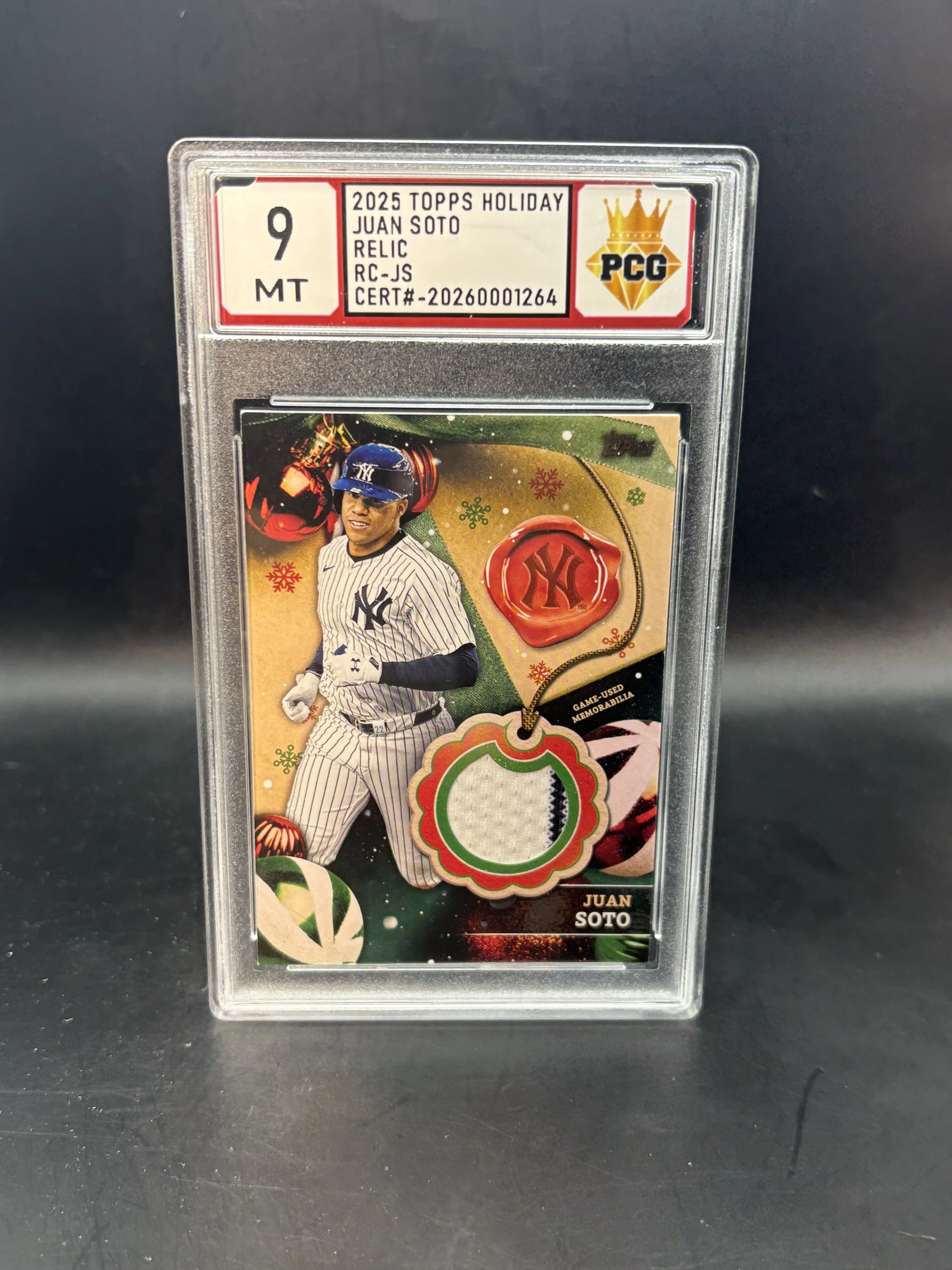 #20260001264 2024 JUAN SOTO RELIC 9 MT