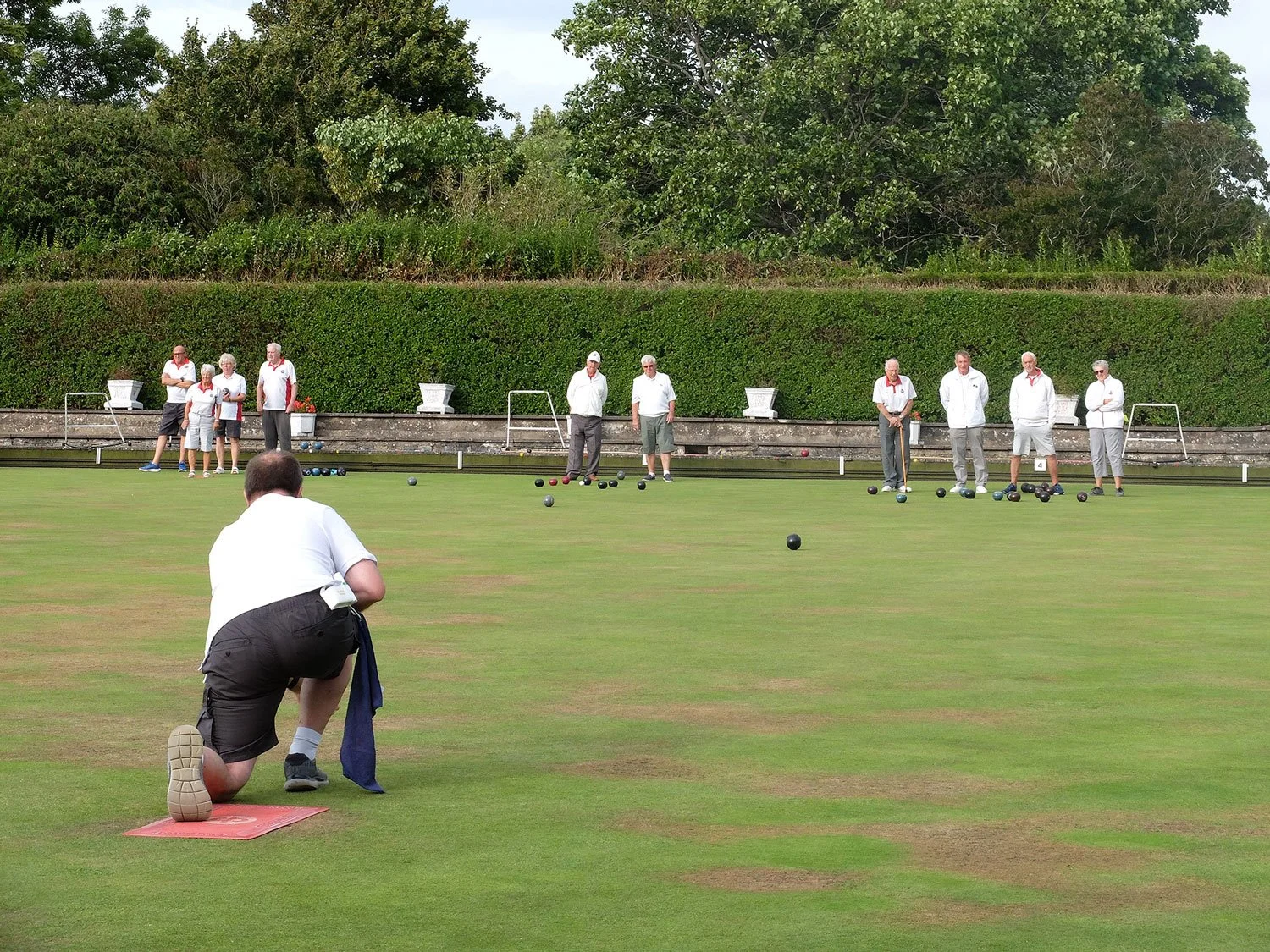 A group of seniors playing lawn bowls on a green field with a person kneeling in the foreground, surrounded by trees and bushes.