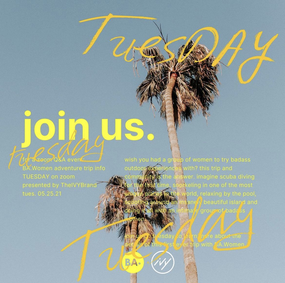 ba-women-x-ivy-brand copy.jpg