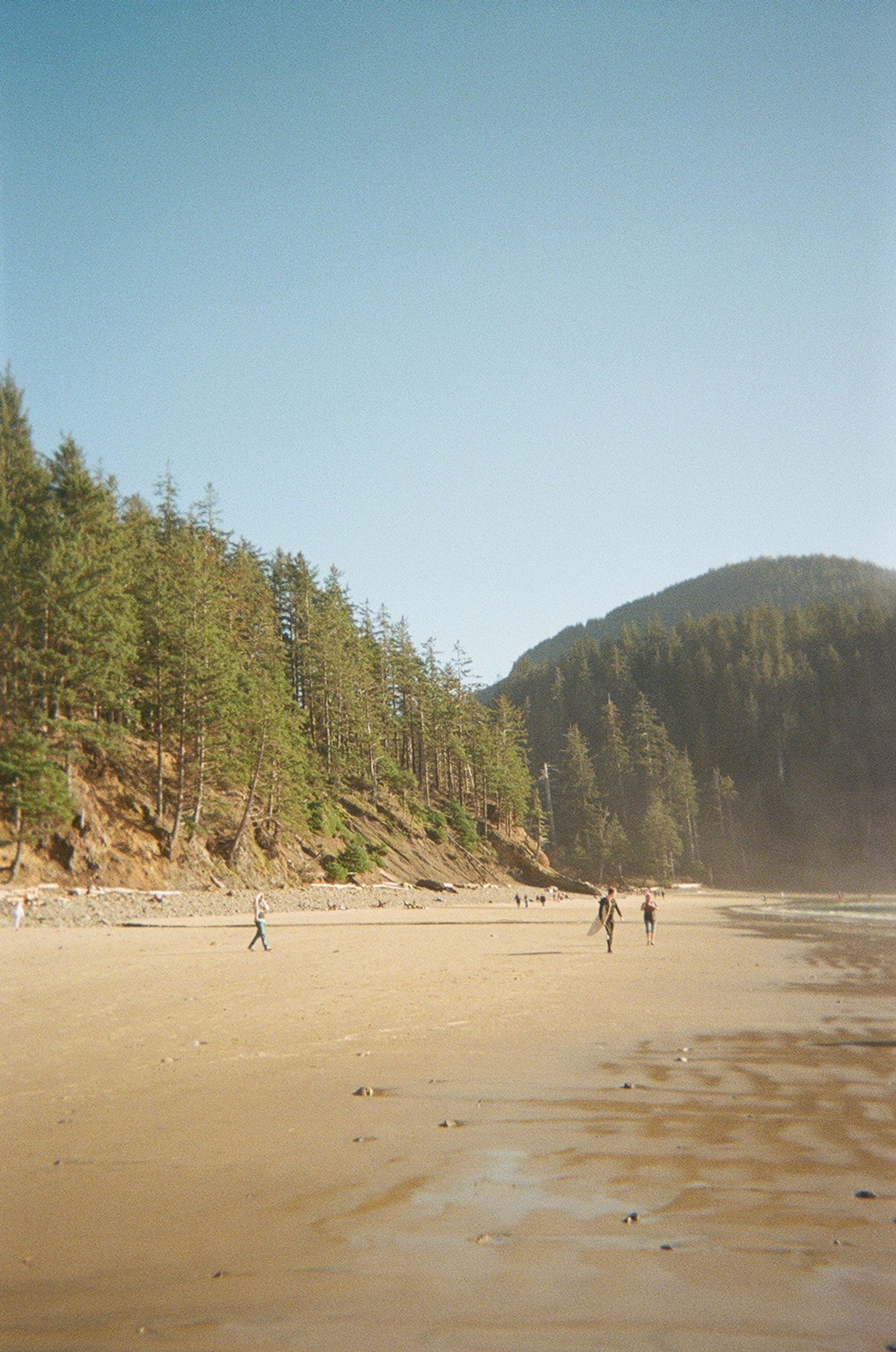 000062390020 copy 2.jpg