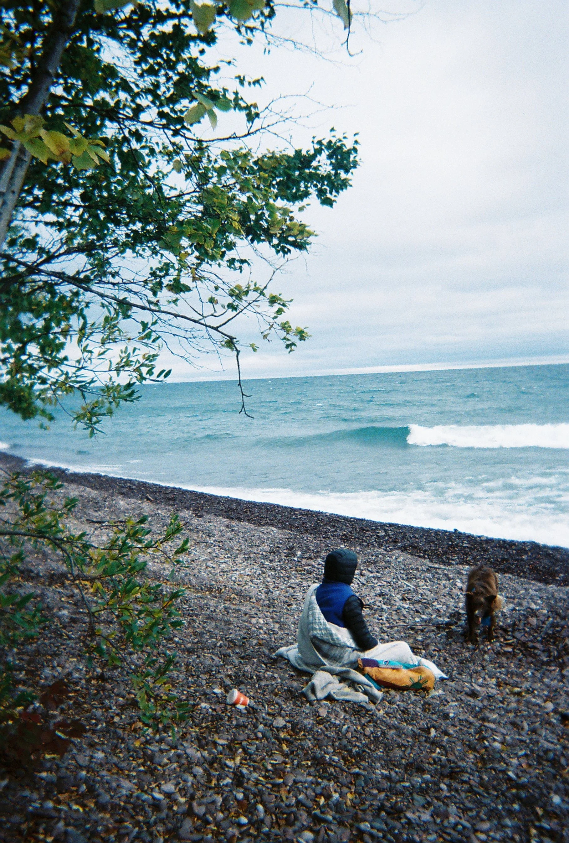 R1-08537-022A copy.JPG