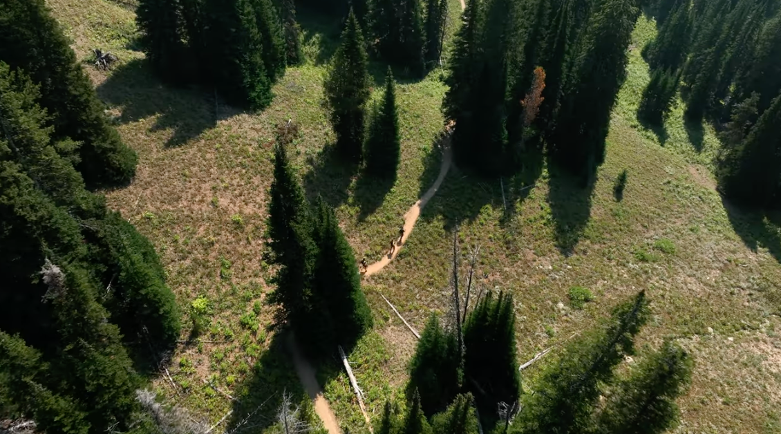 Screenshot 2025-11-05 at 1.32.05 PM.png