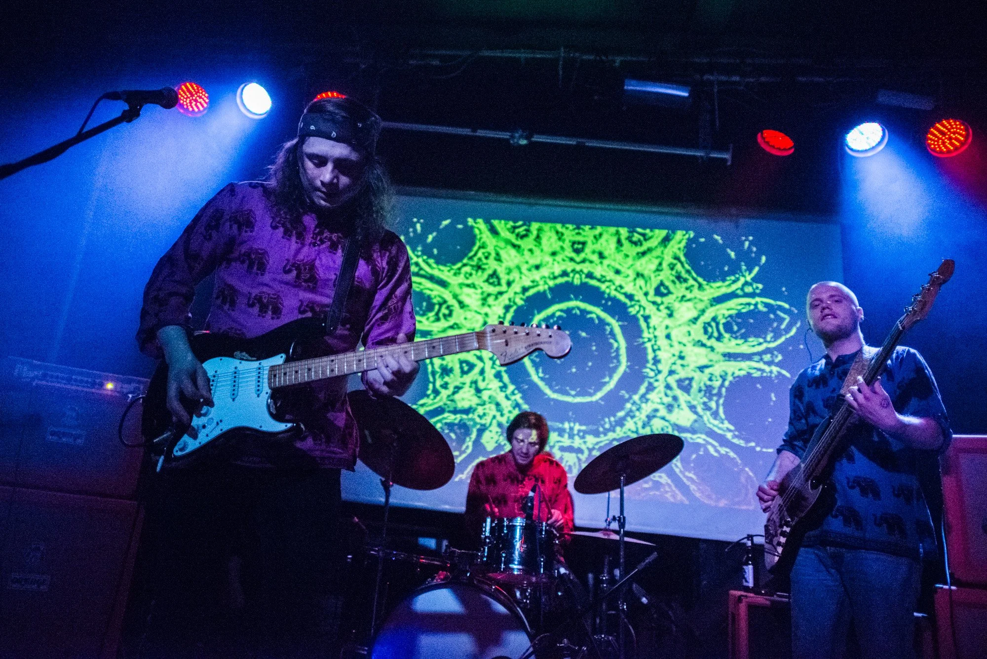 Shaman Elephant - Worlds Collide - photo by Emily Power.jpg