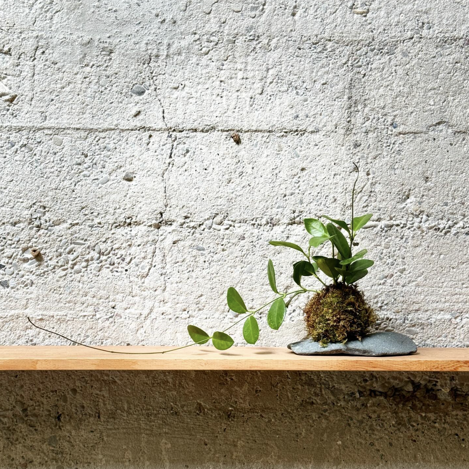 Screenshot 2025-11-13 at 8.49.20 AM.png