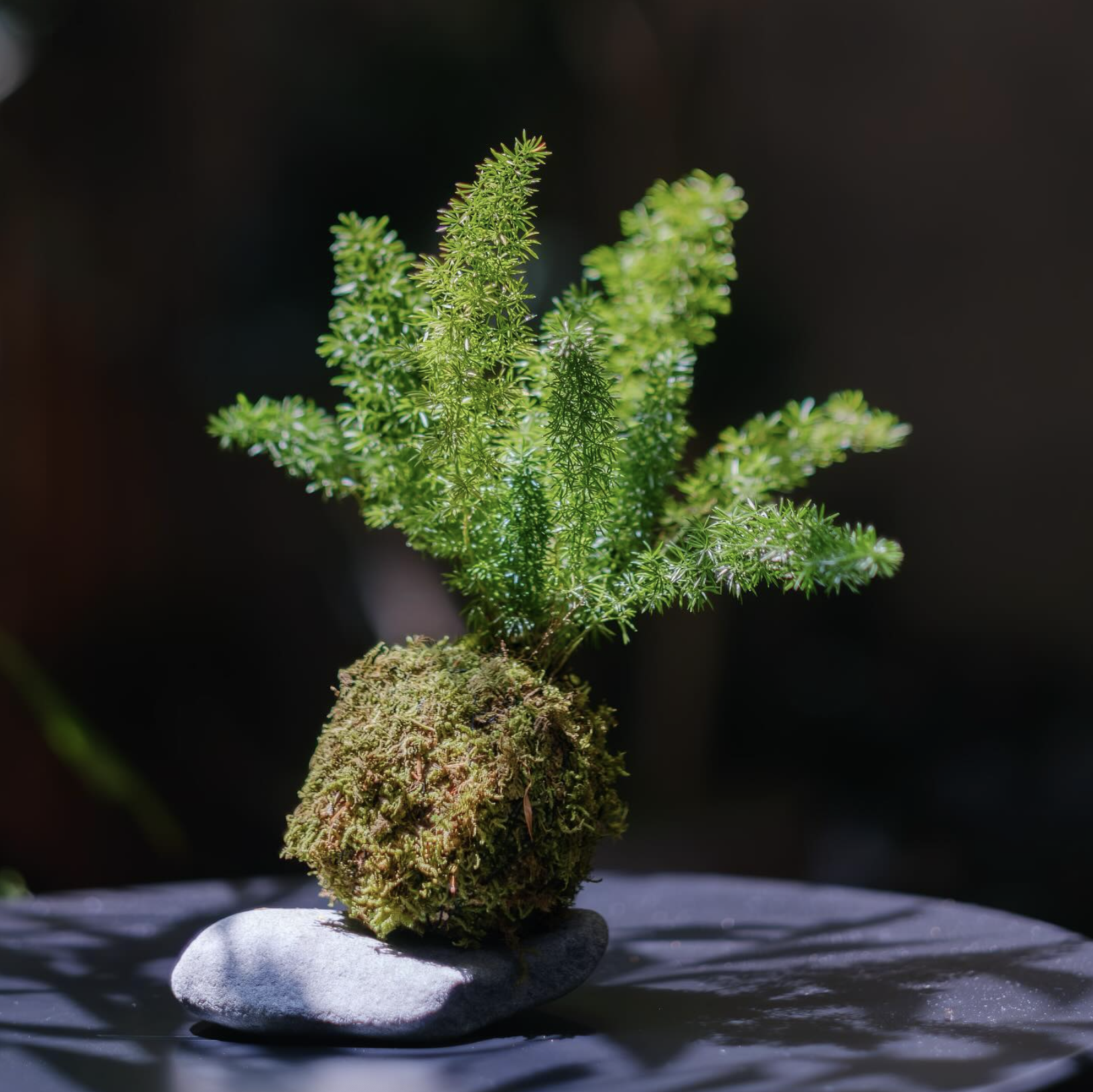 Screenshot 2025-11-13 at 8.49.11 AM.png