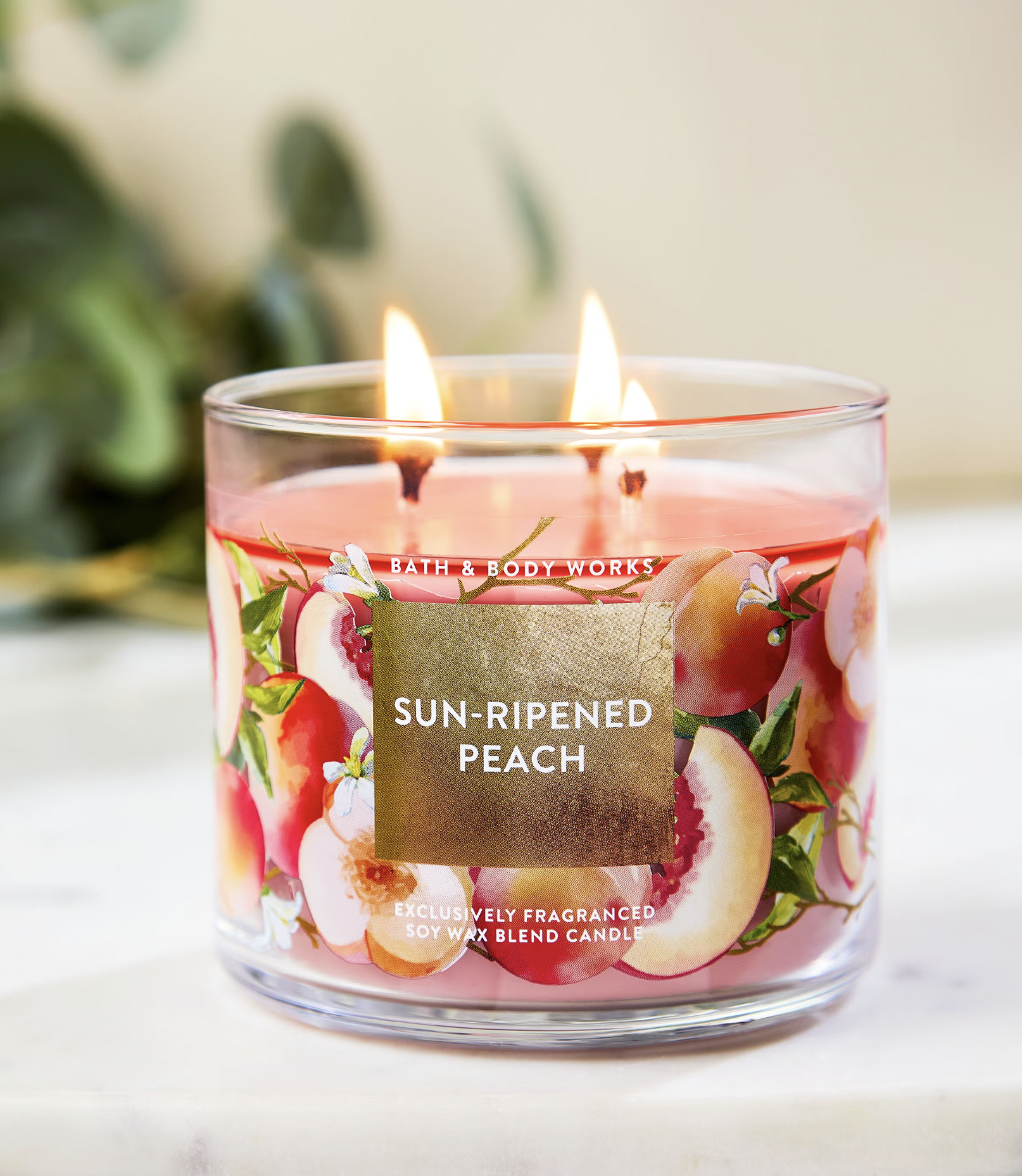 Screen Shot 2026-02-20 at 10.42.00 AM.png