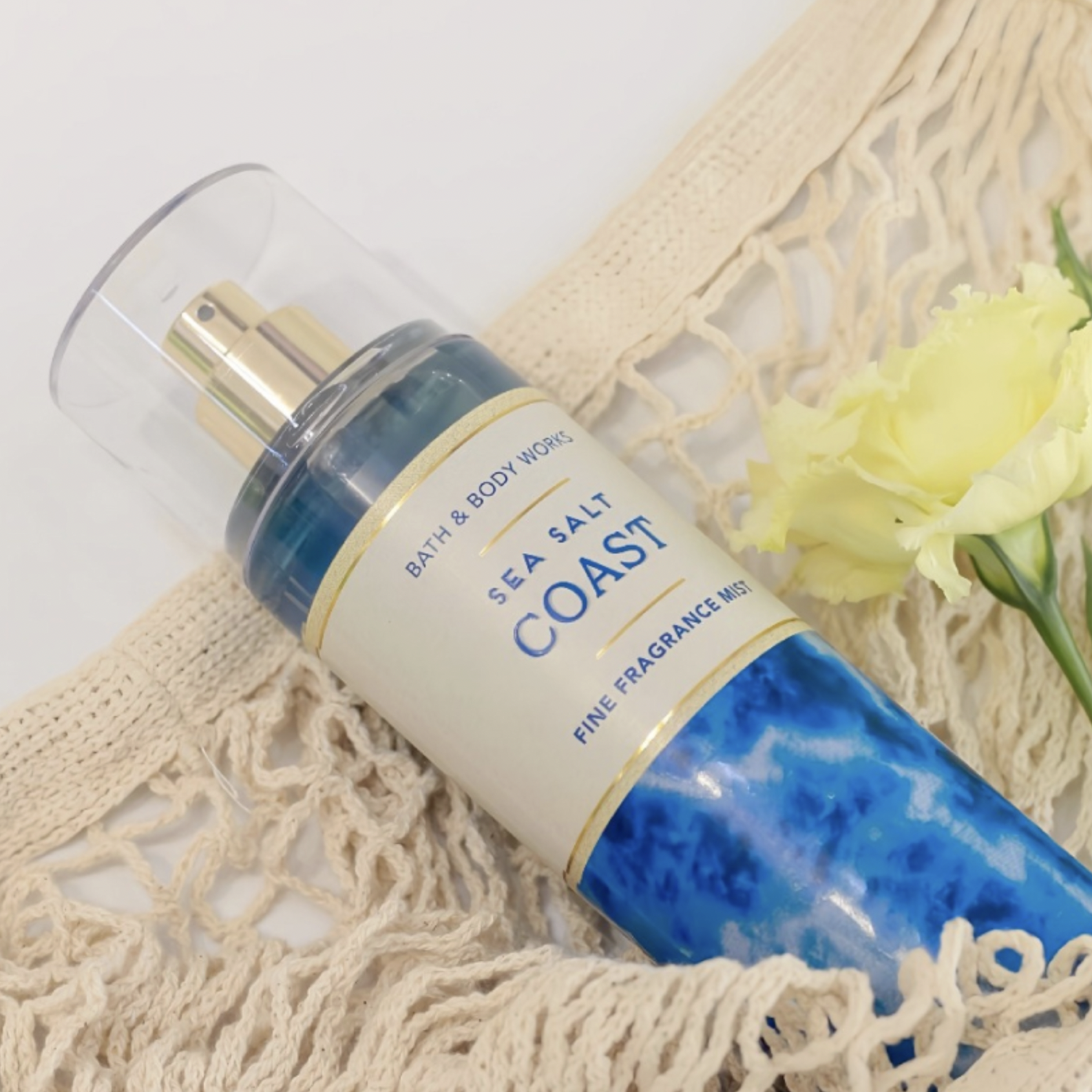 Screen Shot 2026-02-20 at 11.20.22 AM.png