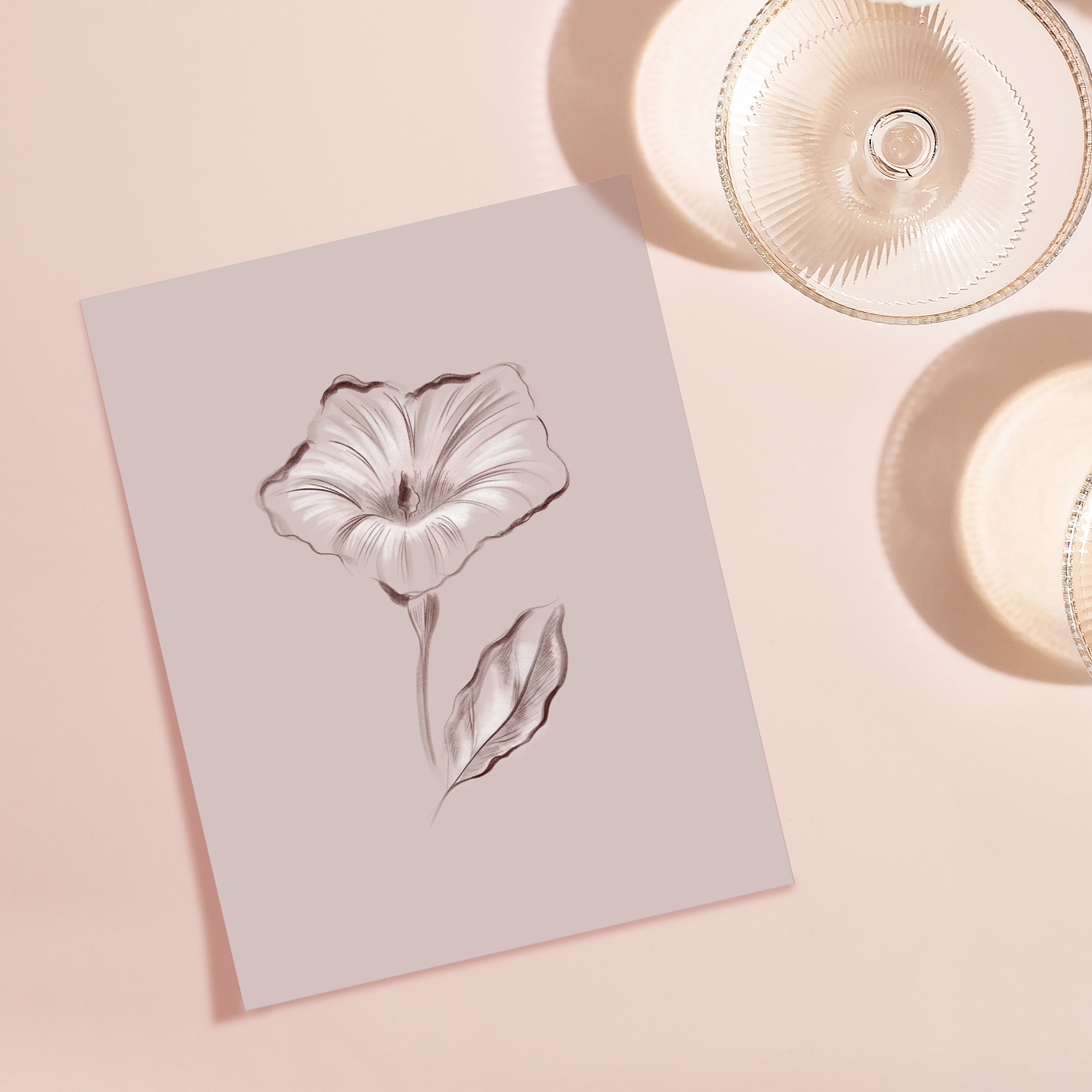 BlushMorningGlory_Mockup.jpg