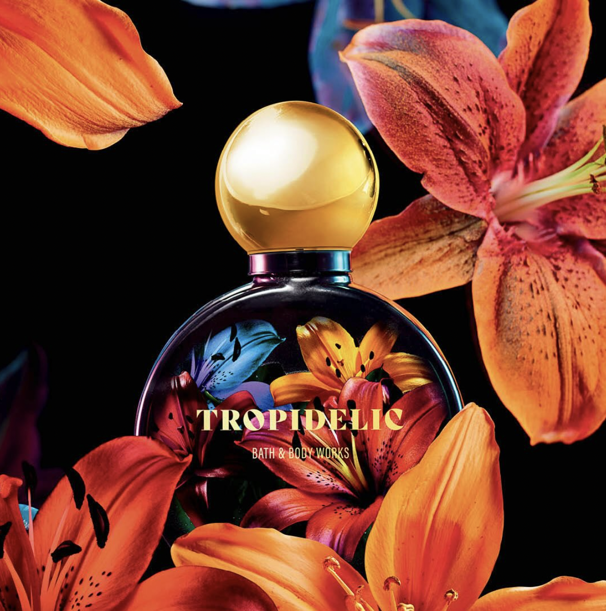 Screen Shot 2026-02-20 at 10.40.37 AM.png