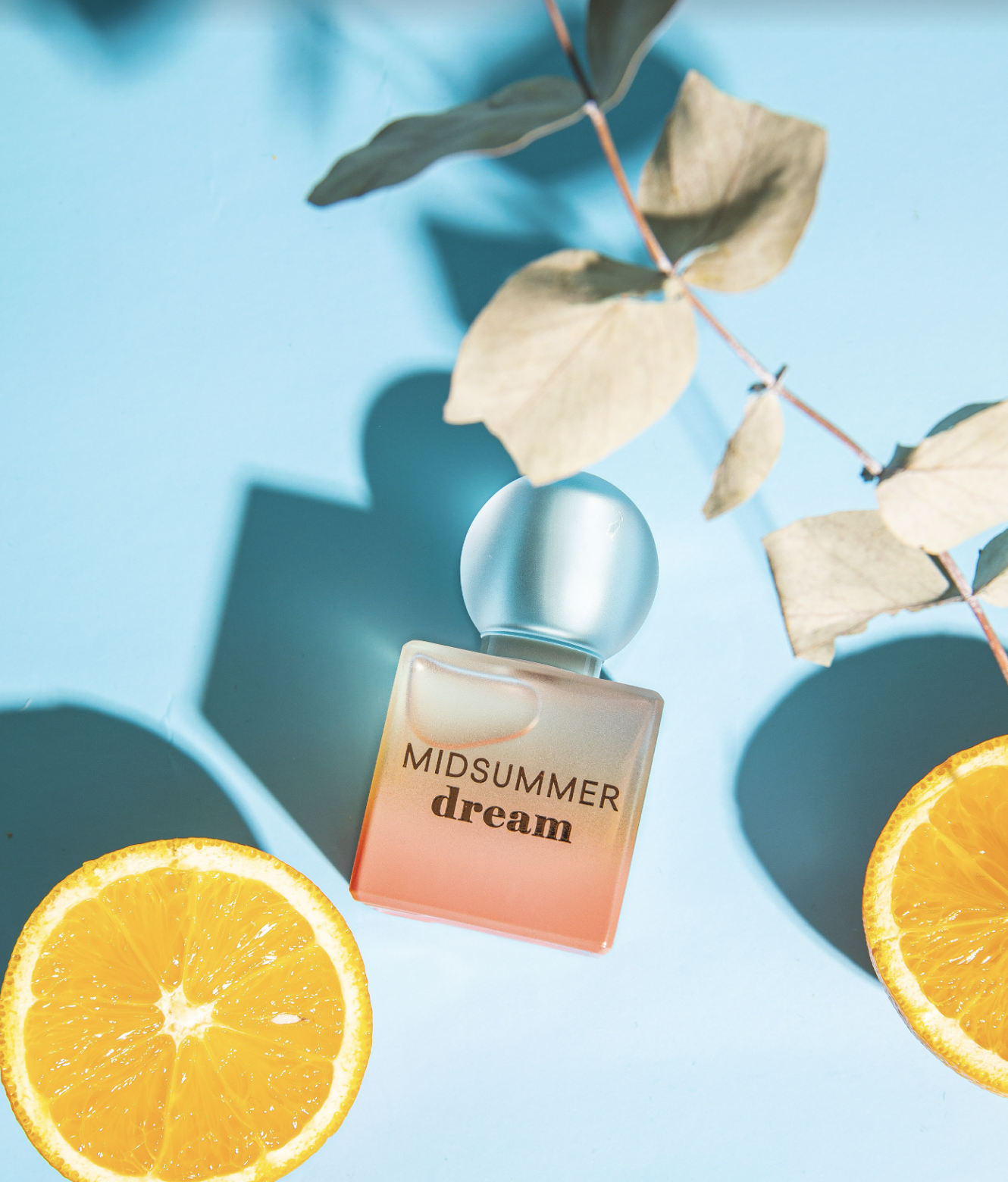 Screen Shot 2026-02-20 at 1.50.49 PM.png