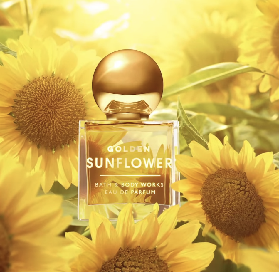 Screen Shot 2026-02-26 at 10.29.51 AM.png