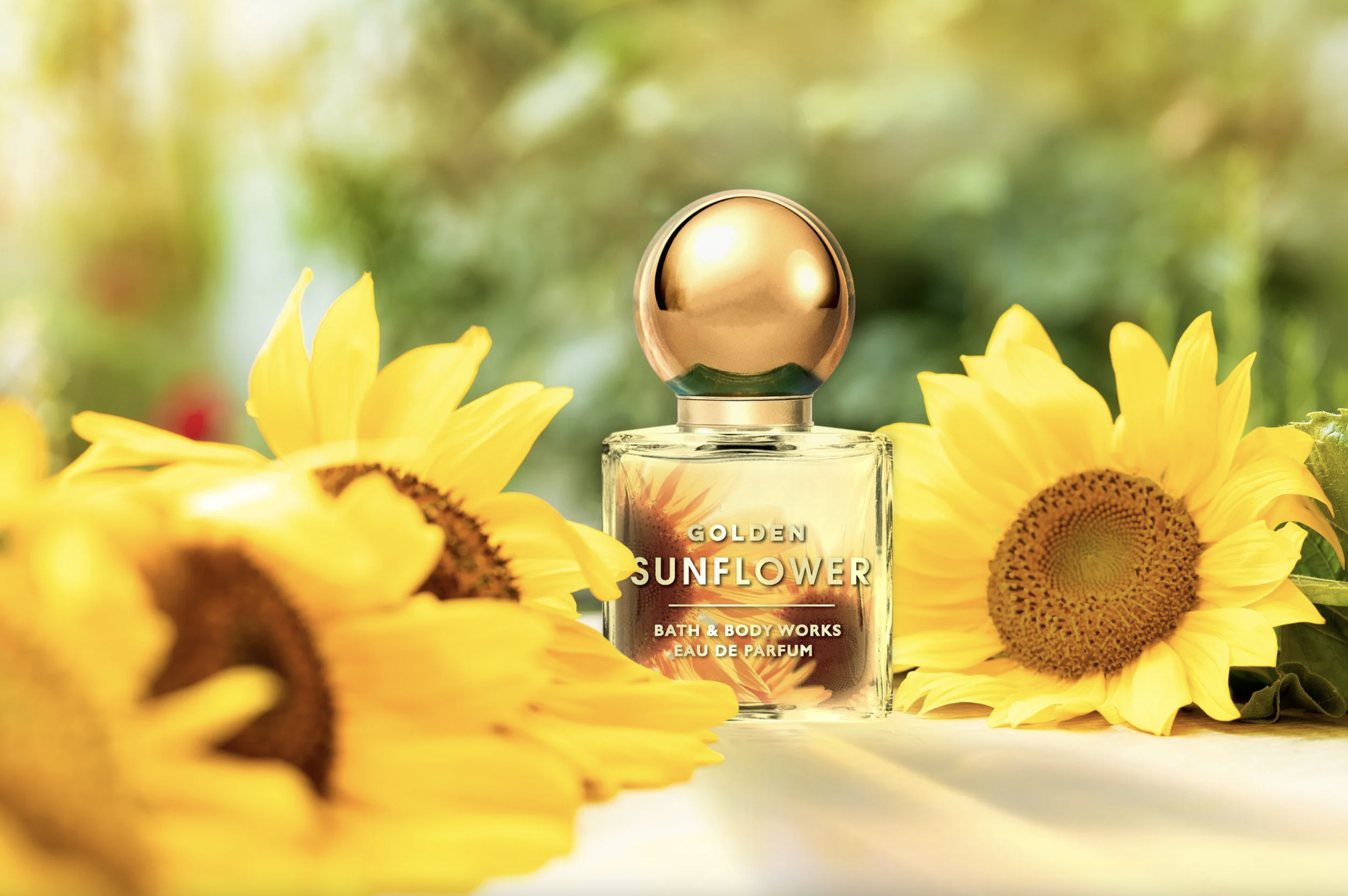 Screen Shot 2026-02-26 at 10.30.55 AM.png