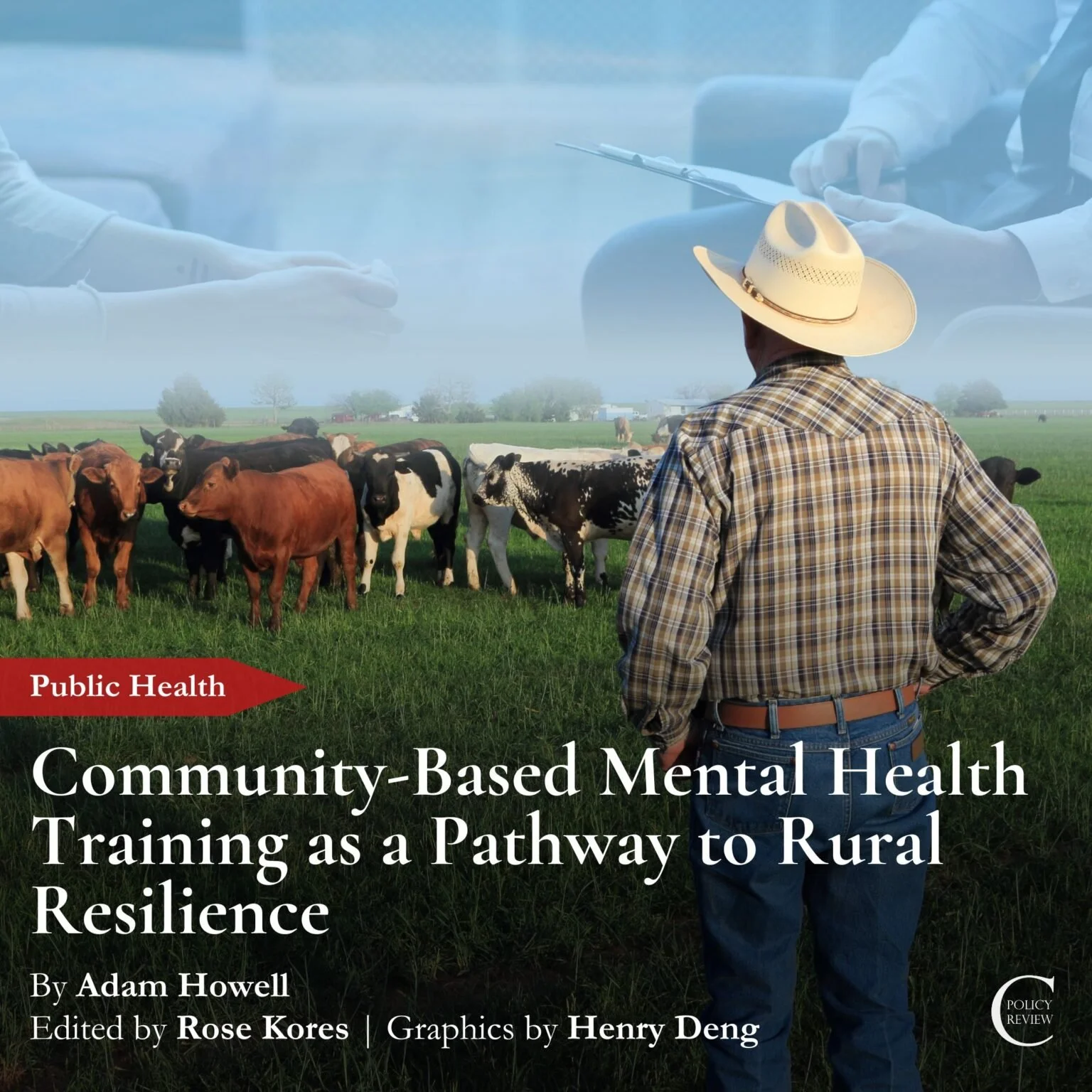 Community-Based Mental Health Training as a Pathway to Rural Resilience