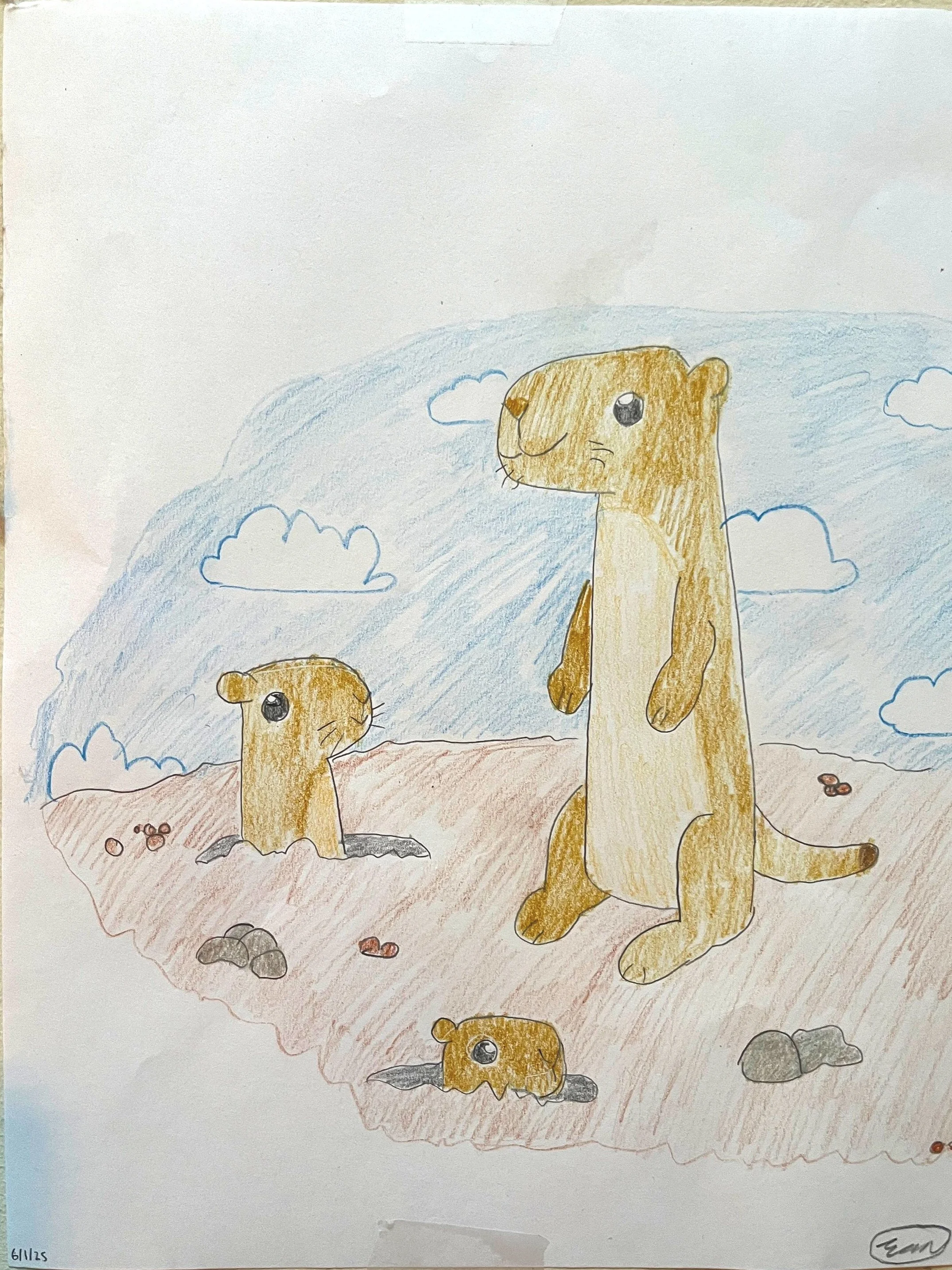 Art for kids hub tutorial of Prairie Dogs