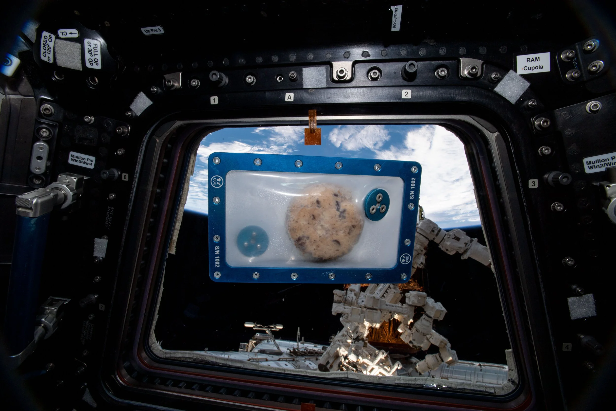 Quarantine Throwback: Baking in Space!