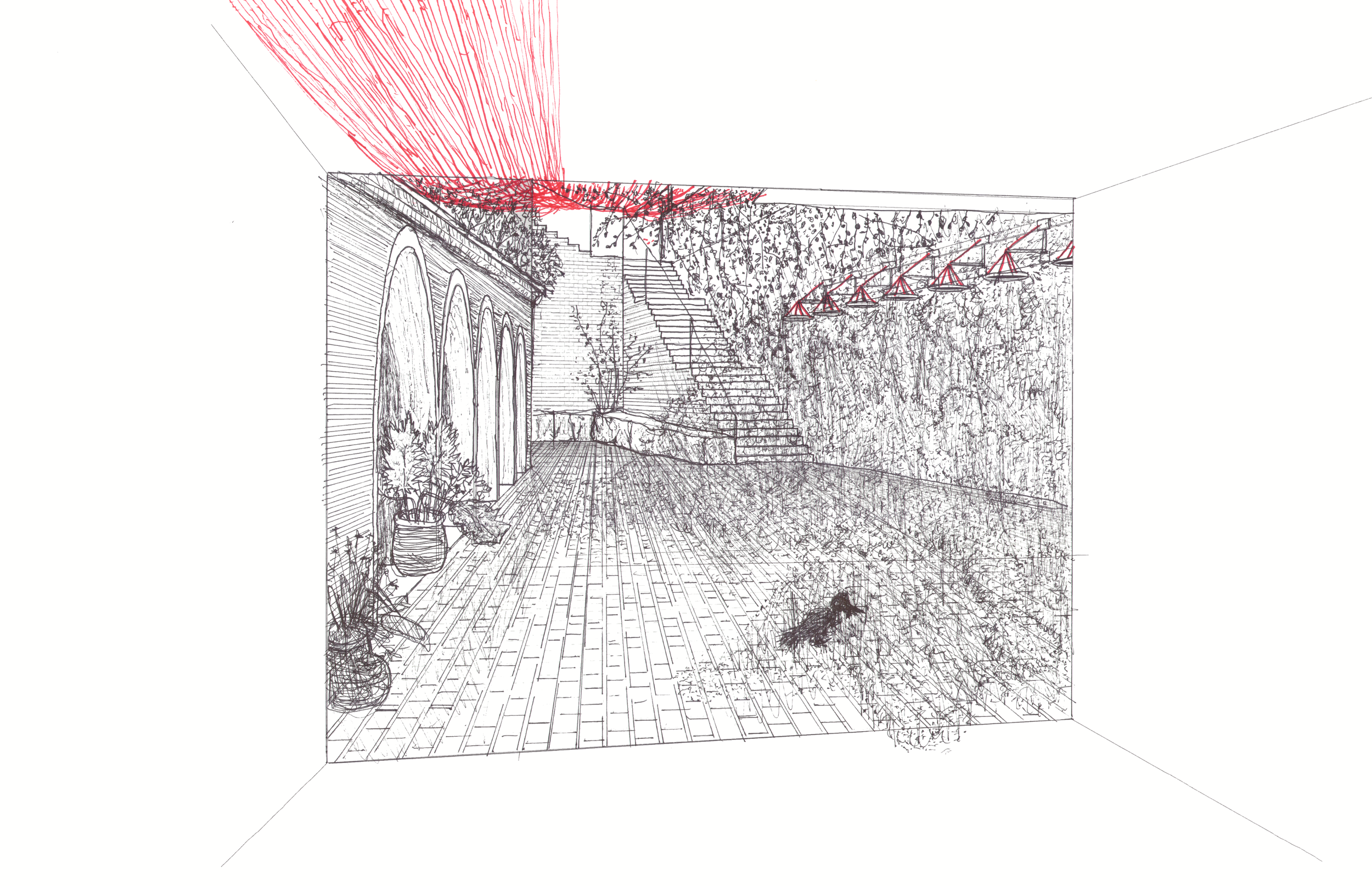 Perspective_Conna2.png