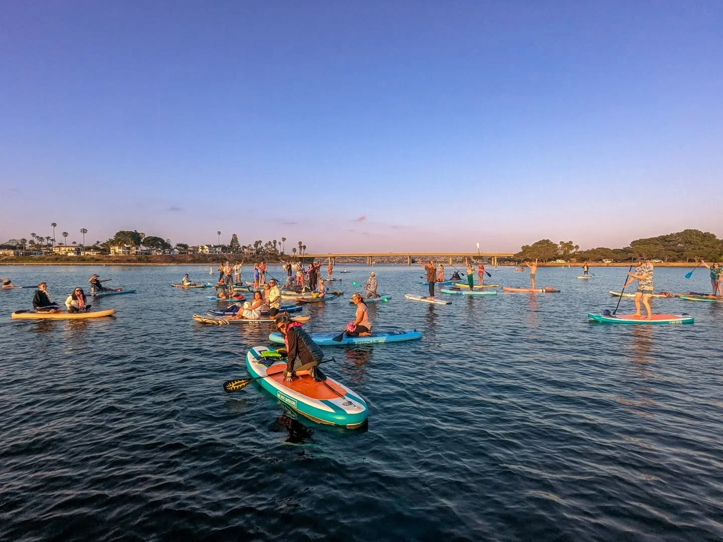 Where to Paddle Board in San Diego: From La Jolla Shores to Live Music on the Bay