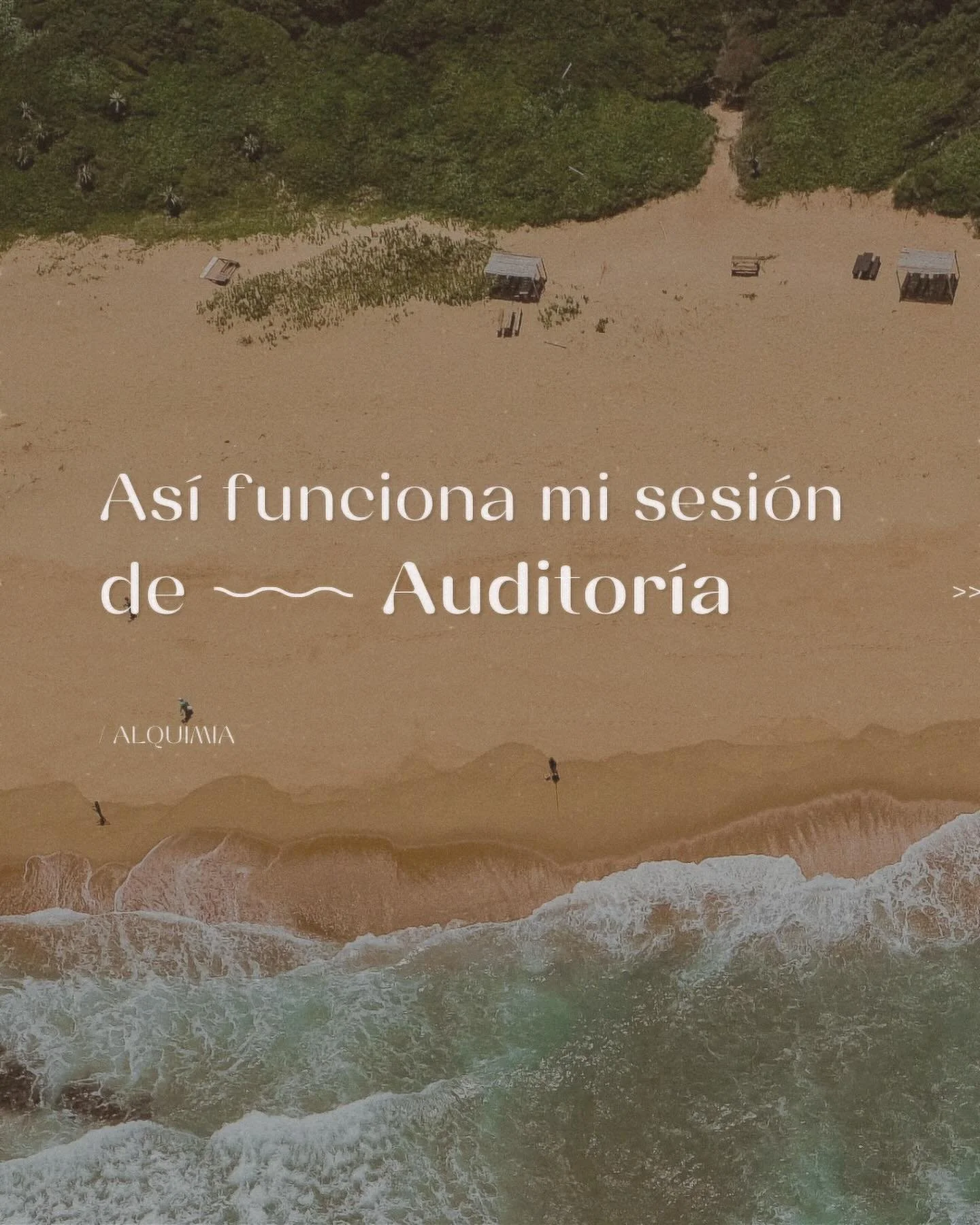 Si ya tienes una idea en mente pero no sabes por d&oacute;nde empezar, o tienes una marca pero no te representa lo suficiente, mi auditor&iacute;a personalizada &ldquo;Eleva la esencia de tu marca&rdquo; es para ti 🔥

En esta sesi&oacute;n especiali