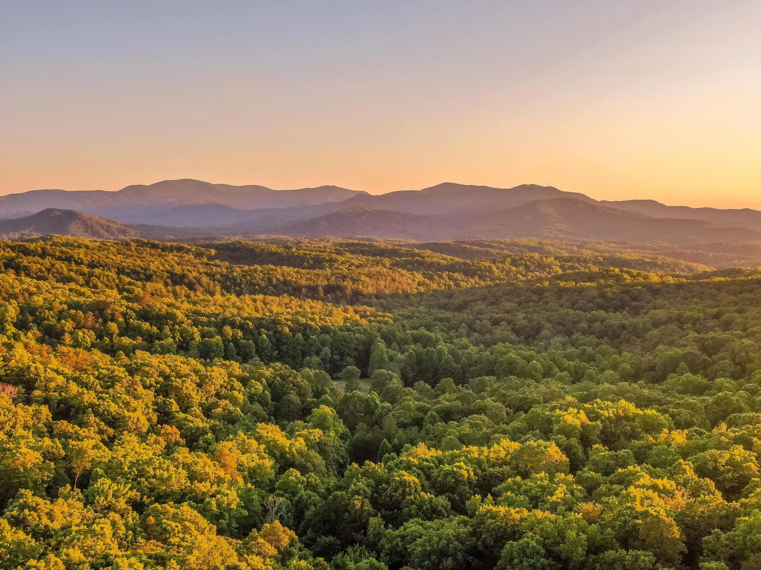 DJI_0783.jpg