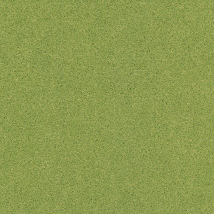 ECC-10 Lime Green.png