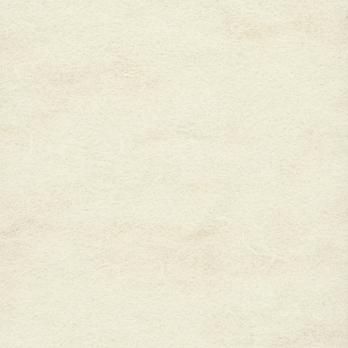 AME-08 Ivory.png