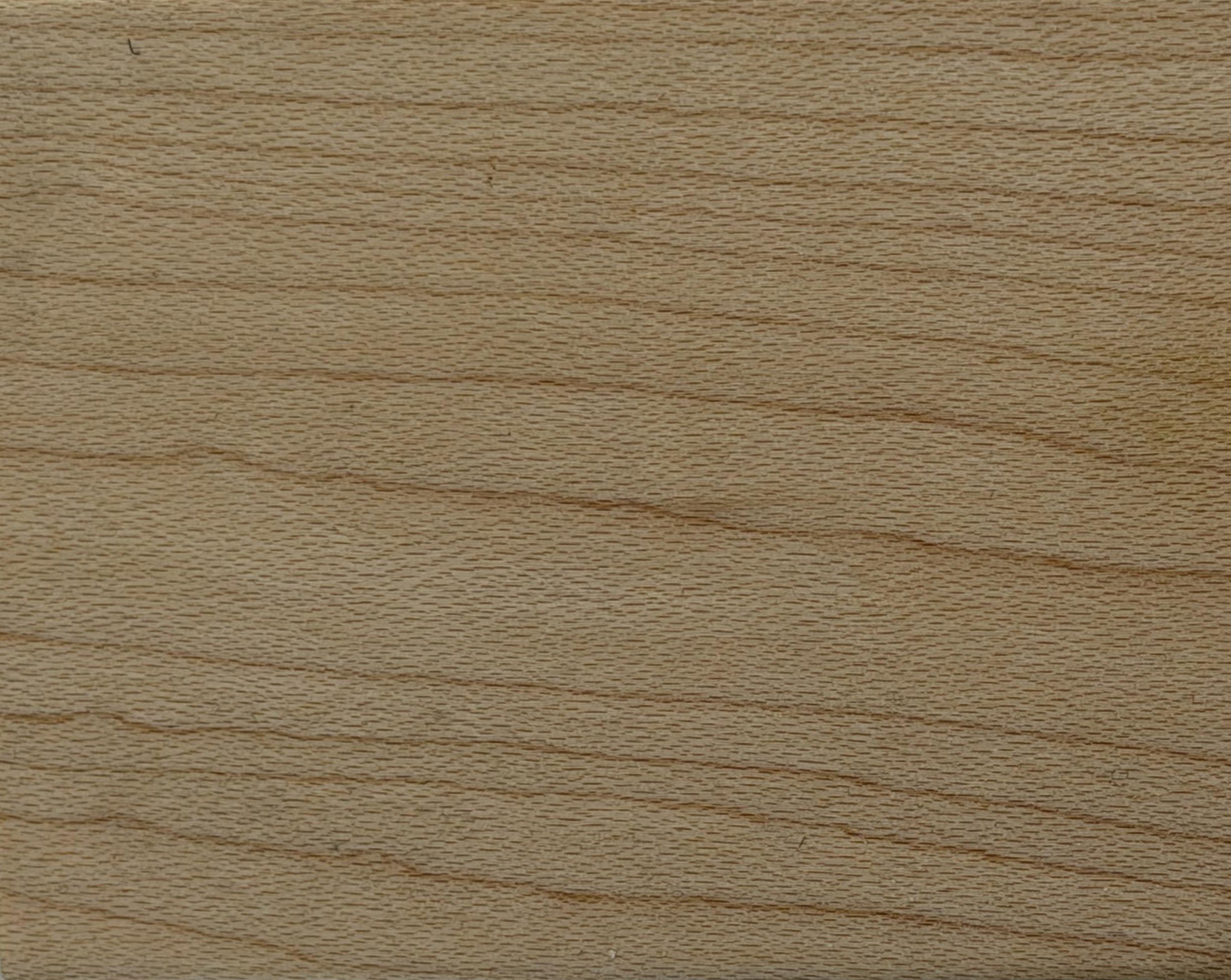 Maple 05