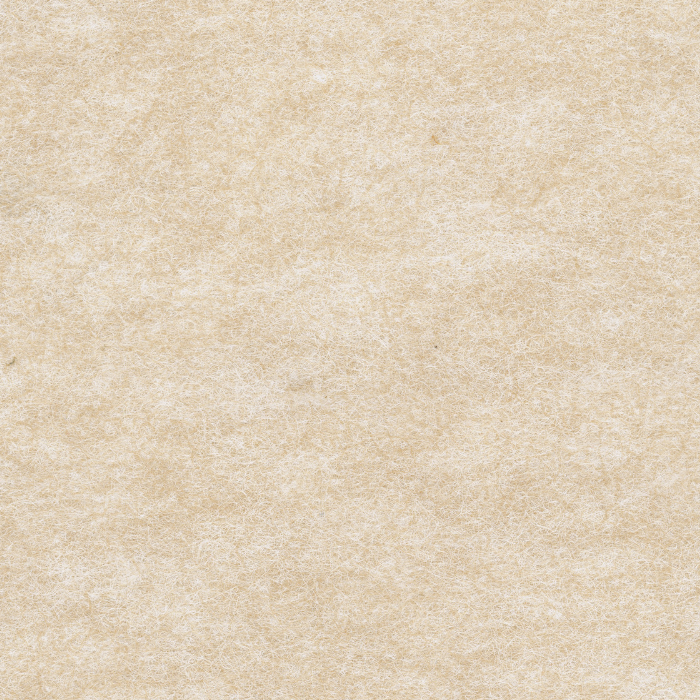 AME-05 Light Khaki.png