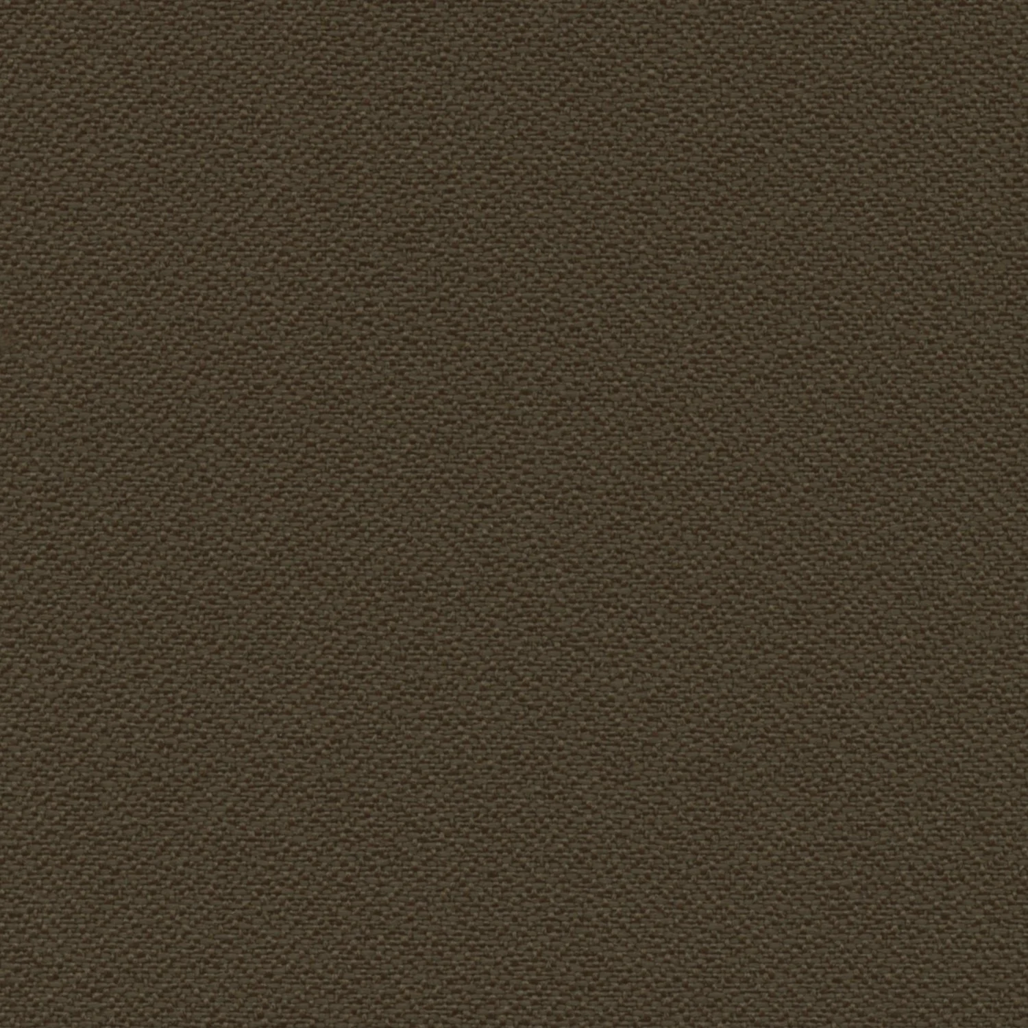 ACR_133 Mocha.jpg