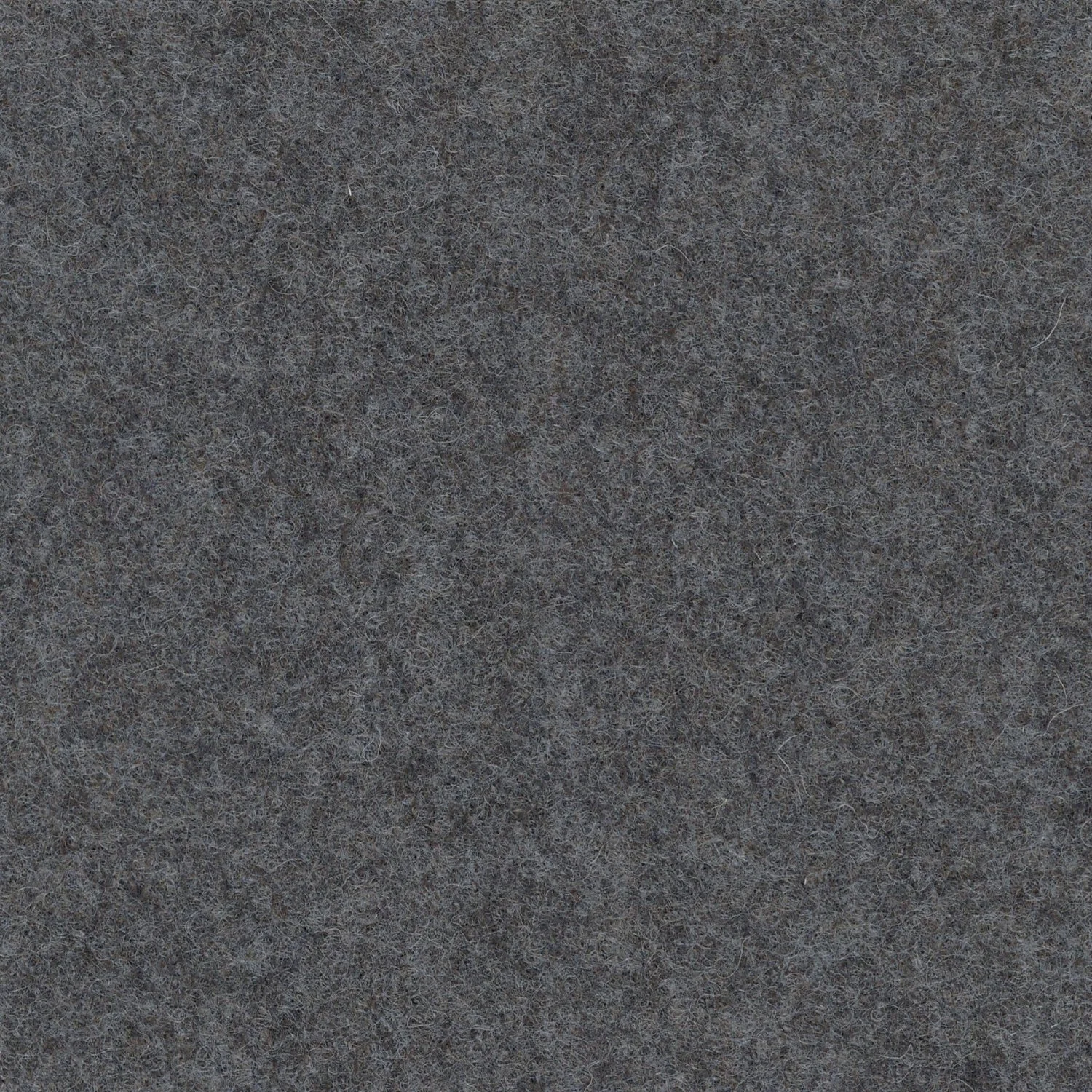 CELE019 Charcoal.jpg