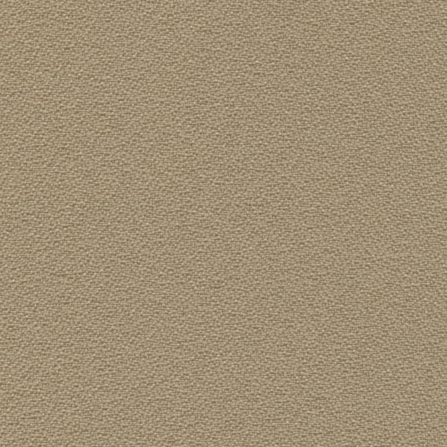 ACR_112 Muslin.jpg