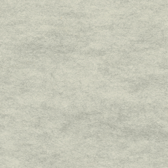 AME-19 Light Grey.png