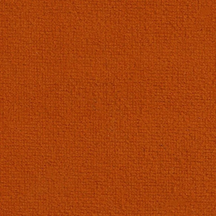 snoppyburntorange700x700.jpg