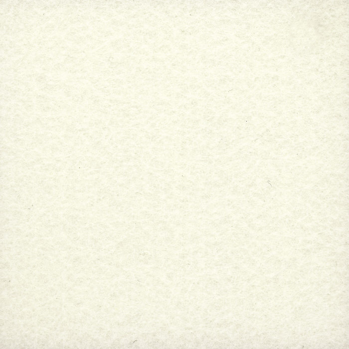 Ecc-08 Milk White.png