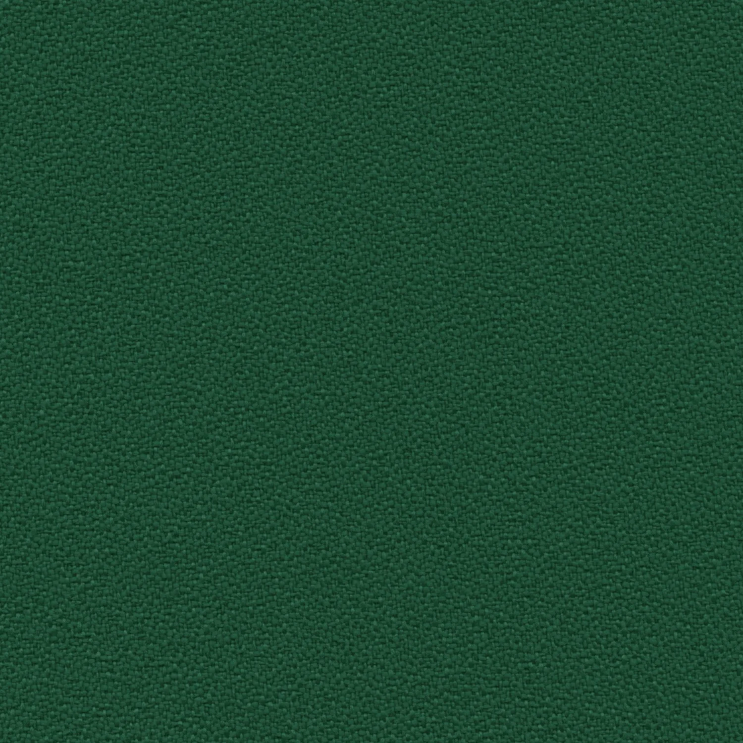 ACR_141 Evergreen.jpg