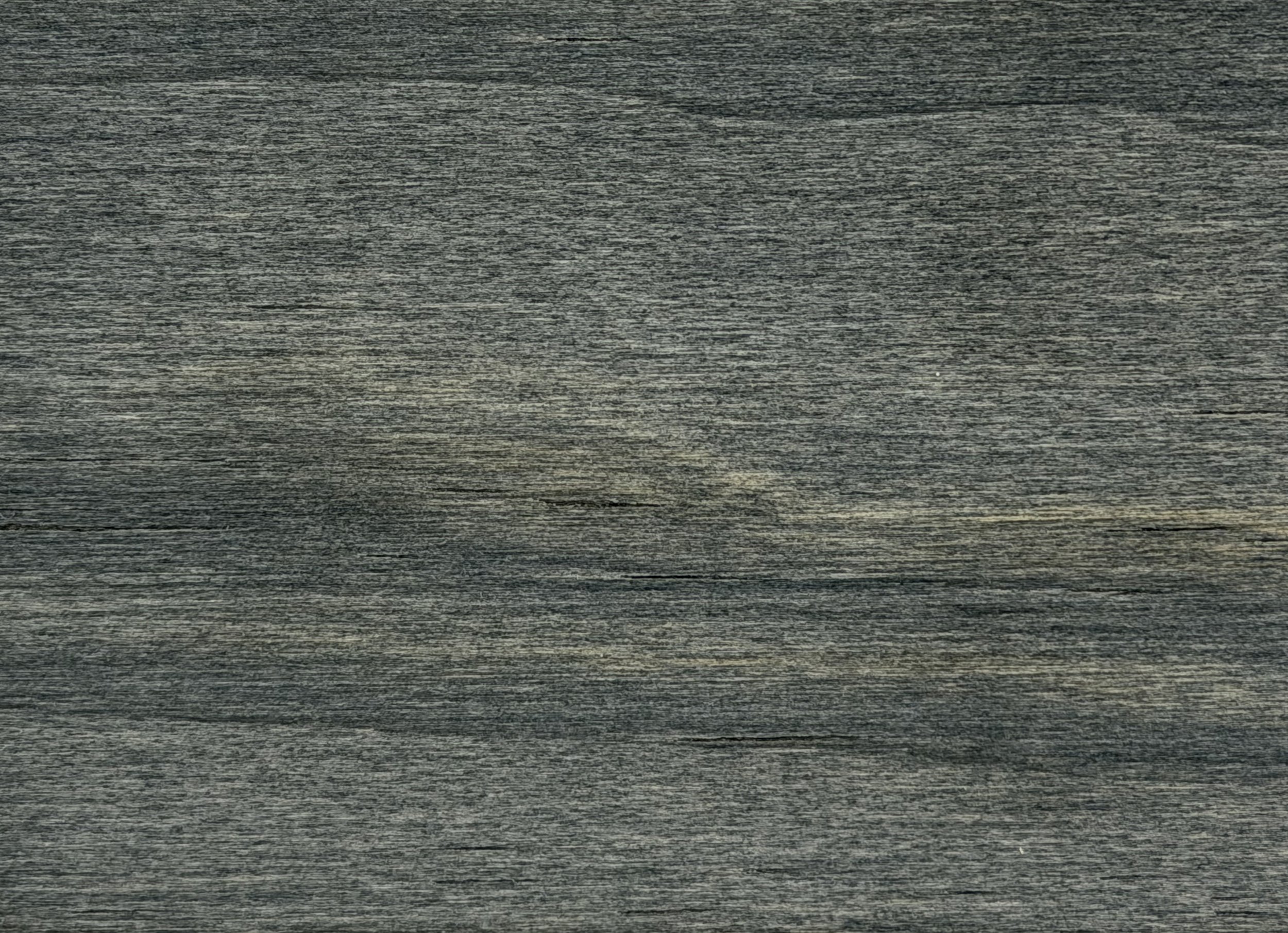 Grey Pine 06